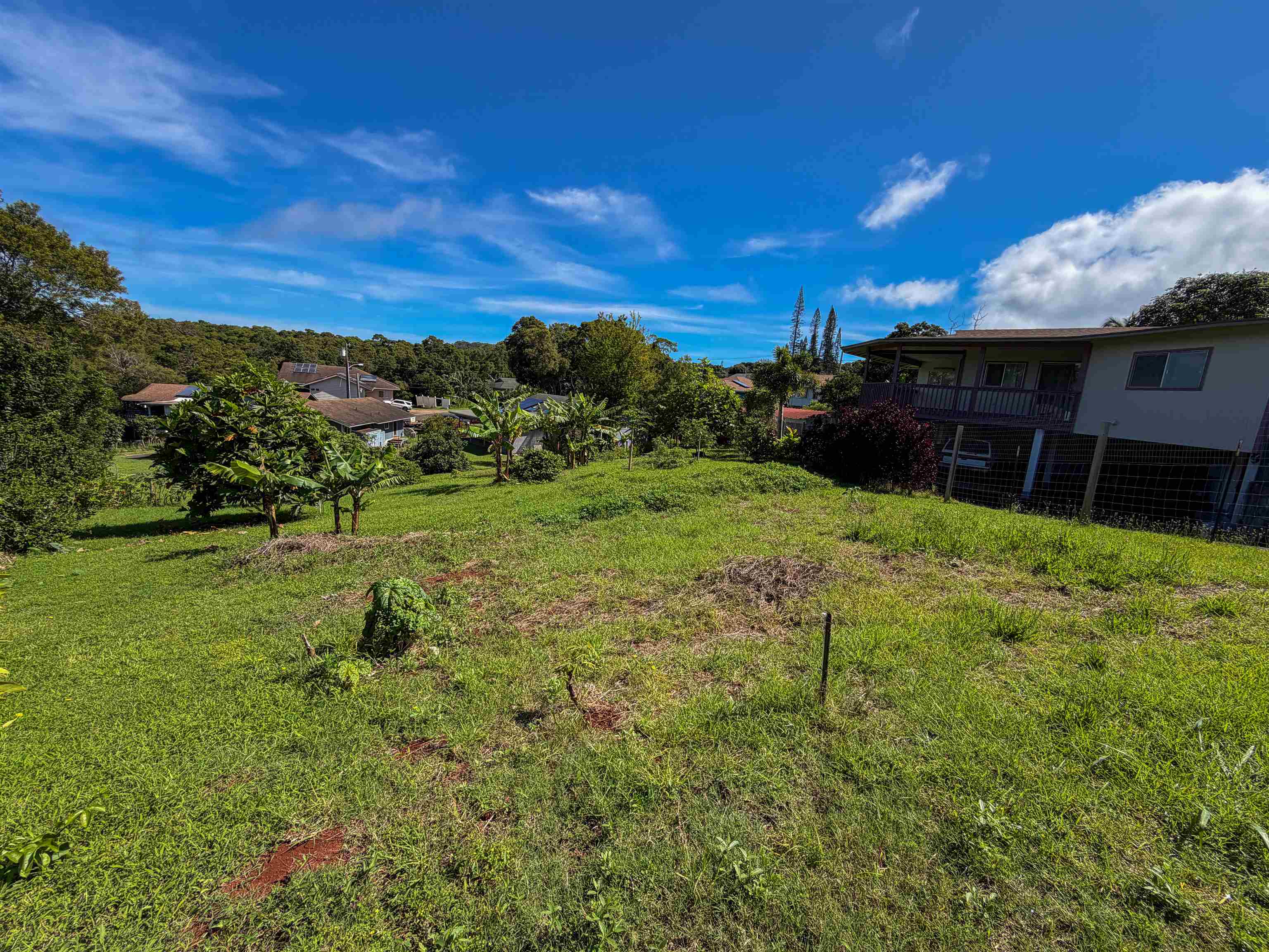 2129 Akeu Way Property Photo 7