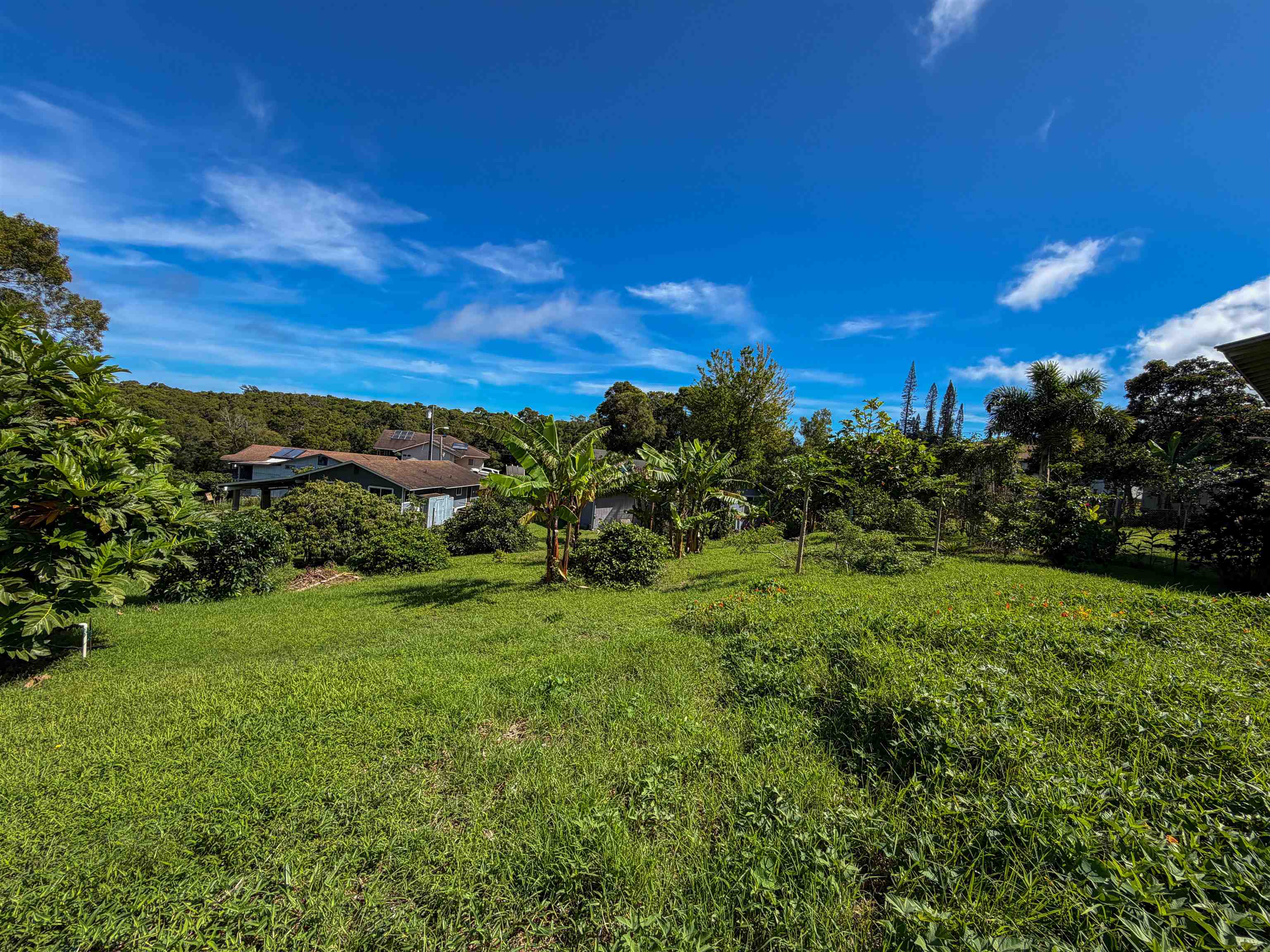 2129 Akeu Way Property Photo 8