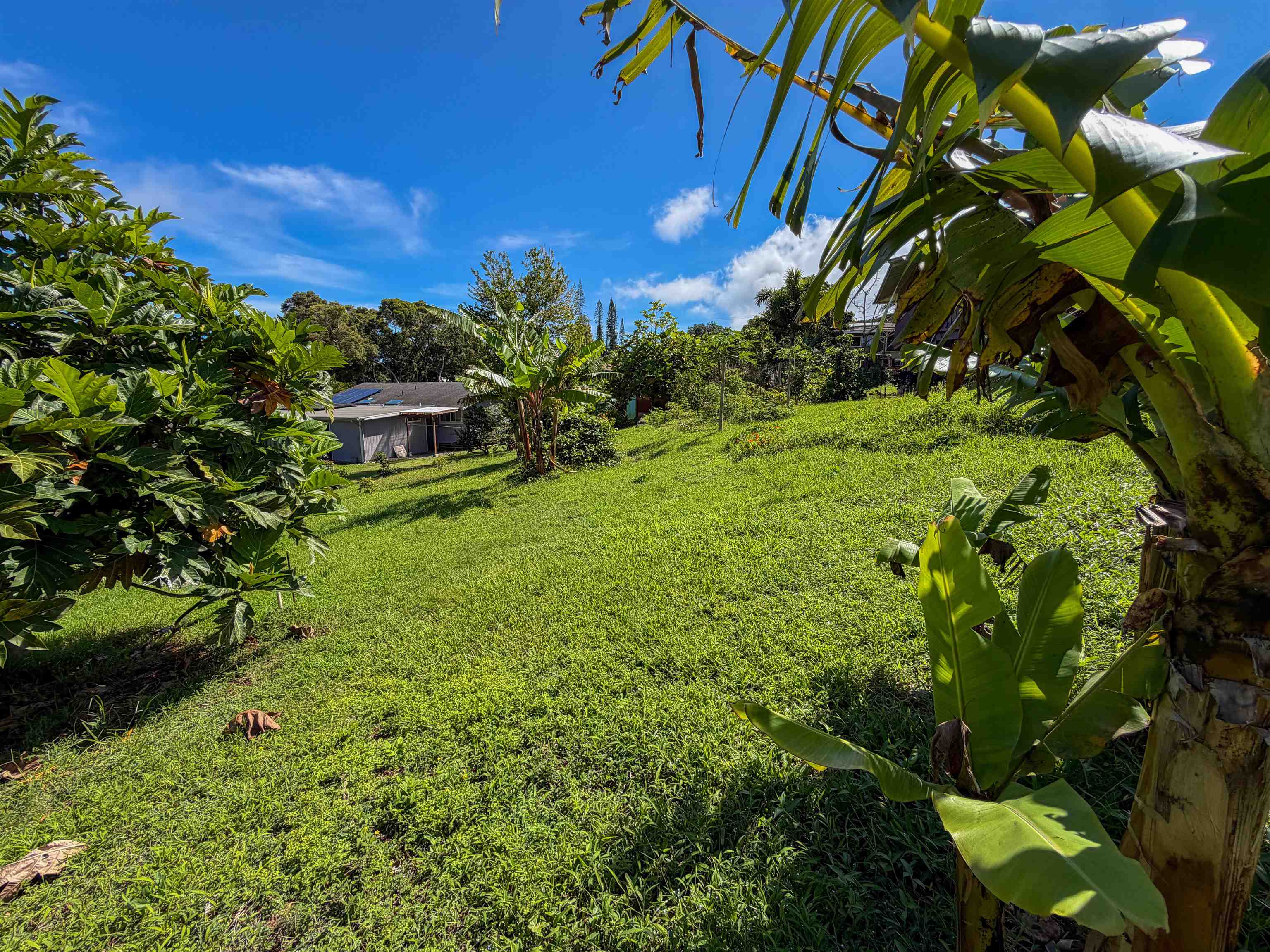 2129 Akeu Way Property Photo 9