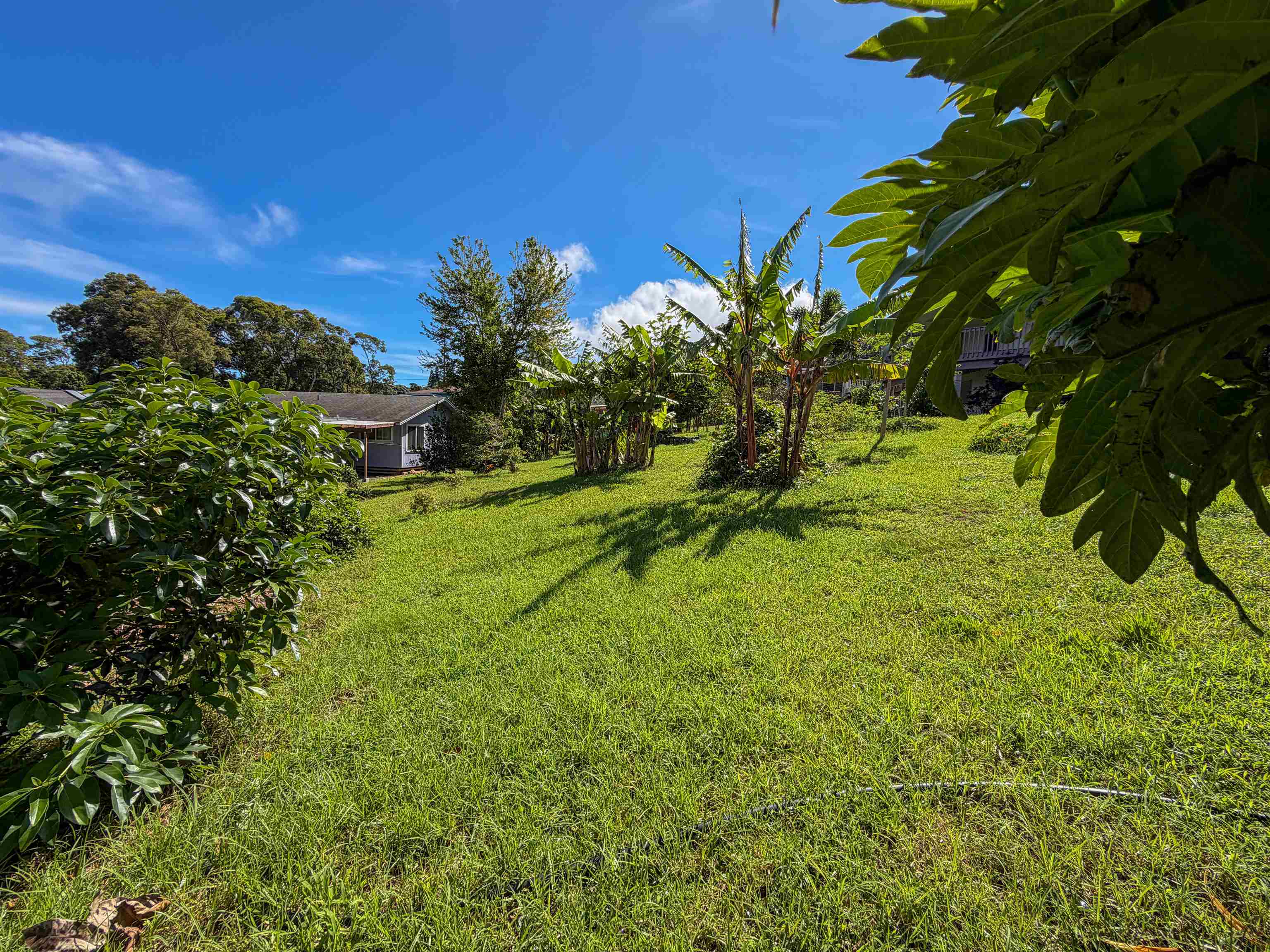 2129 Akeu Way Property Photo 10
