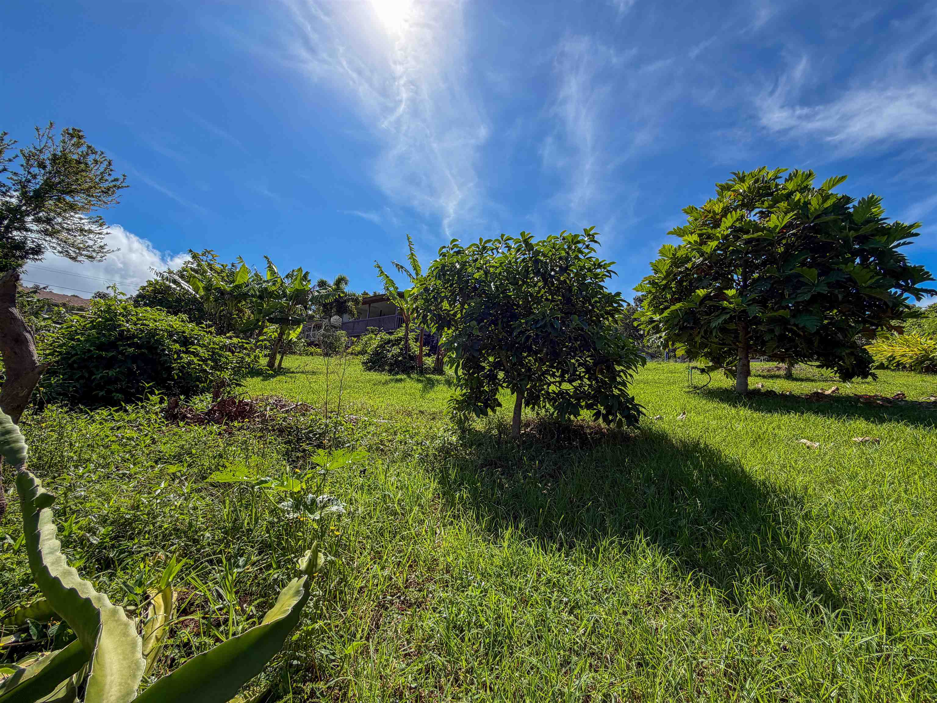 2129 Akeu Way Property Photo 12