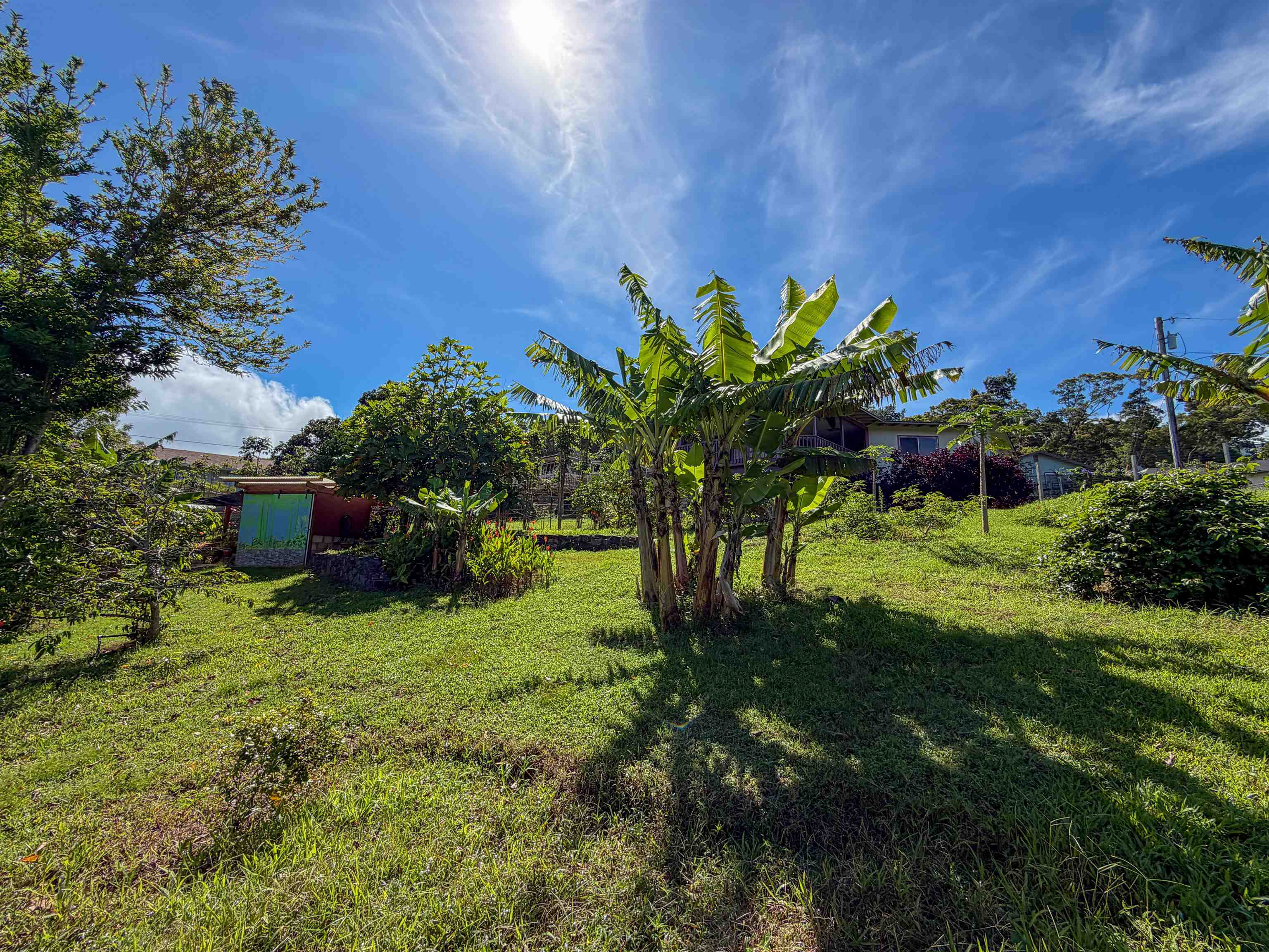 2129 Akeu Way Property Photo 13