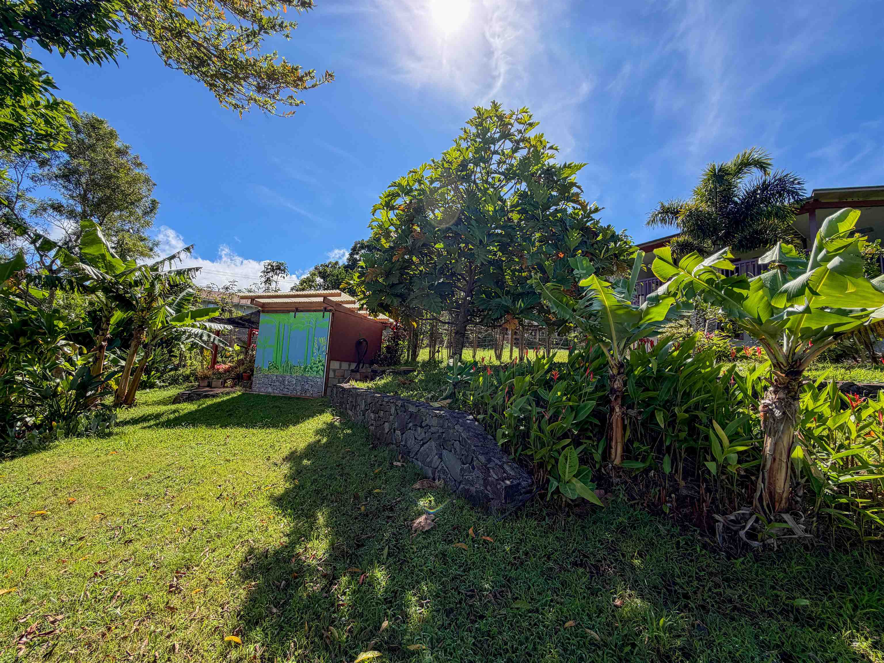 2129 Akeu Way Property Photo 18