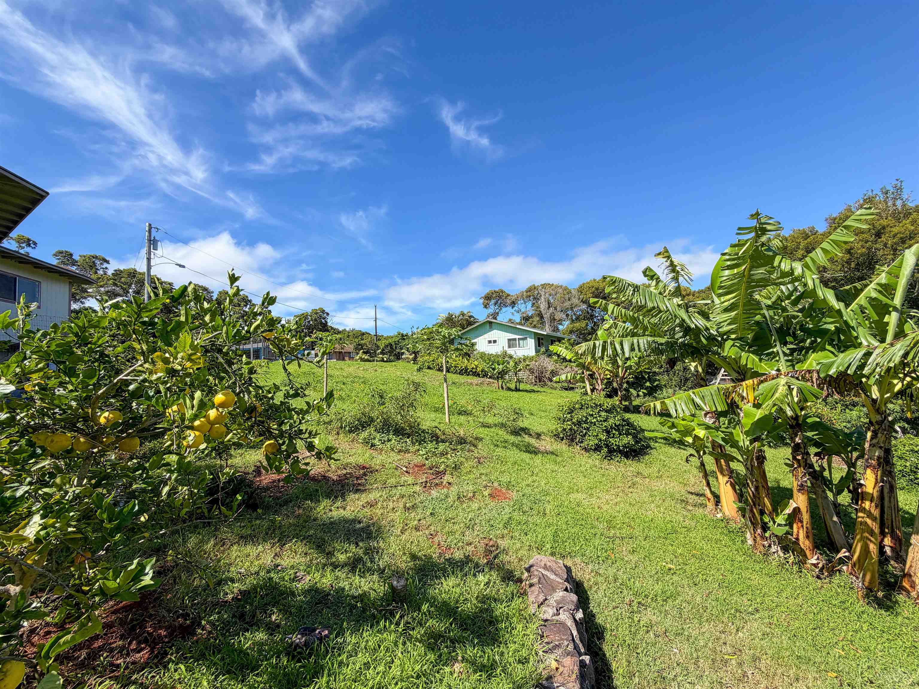 2129 Akeu Way Property Photo 19