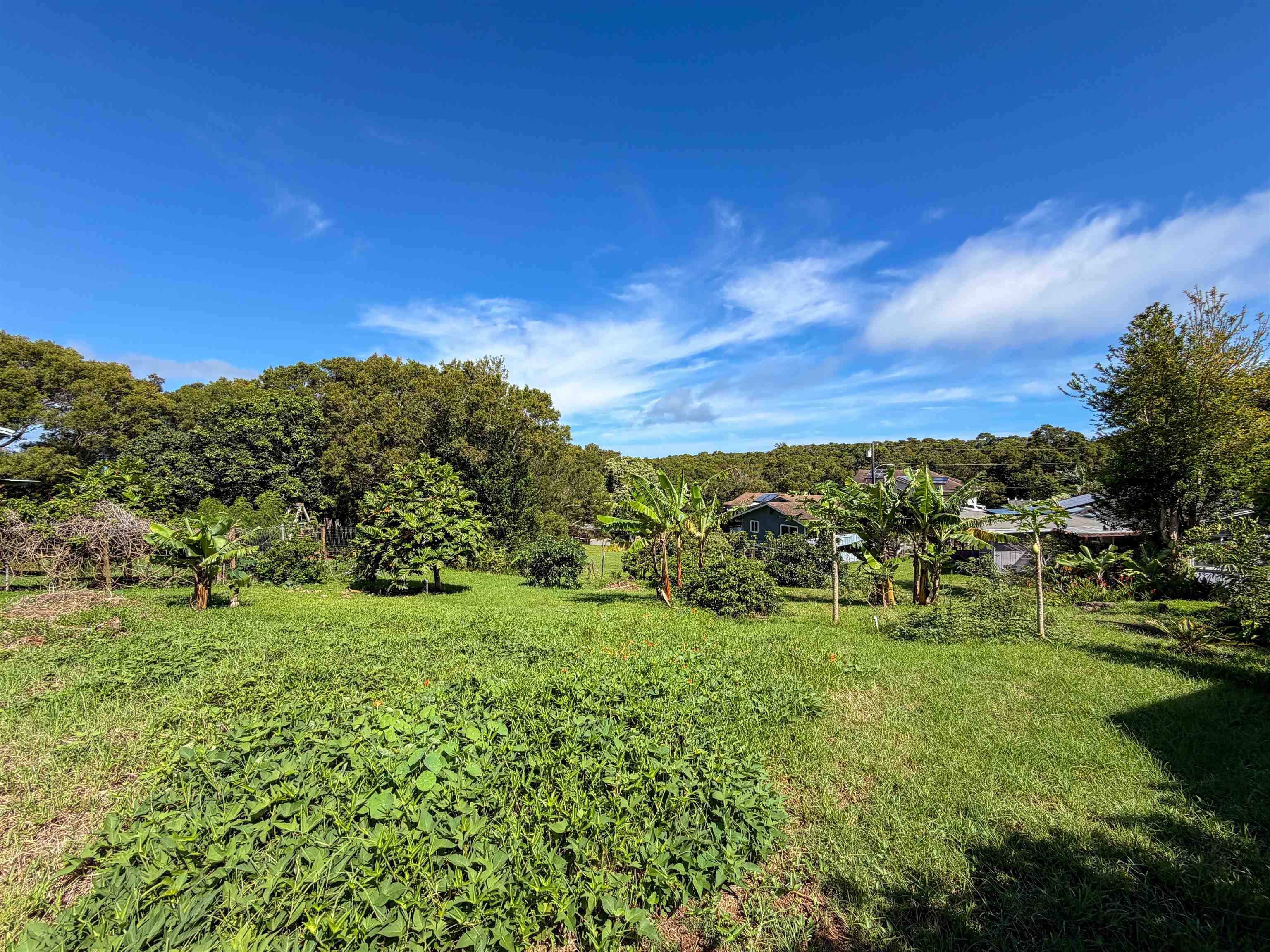 2129 Akeu Way Property Photo 20