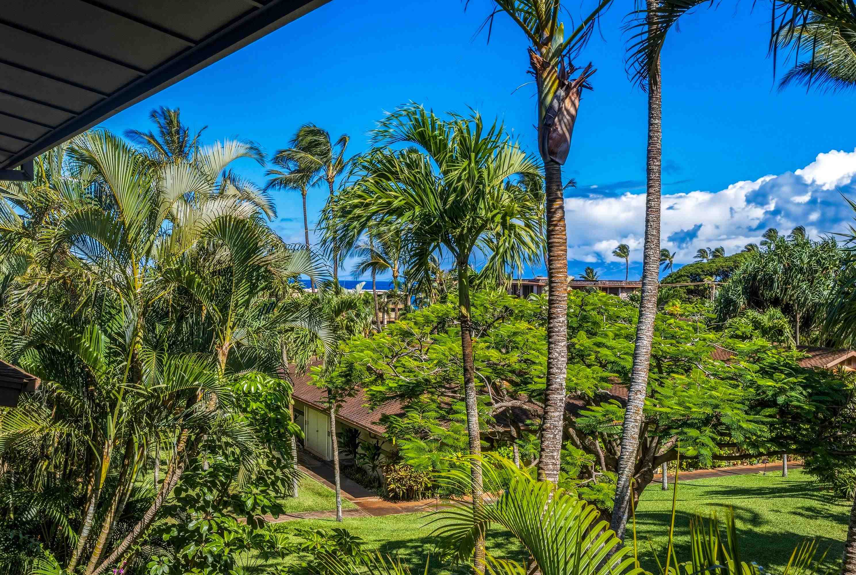 3788 Lower Honoapiilani Rd Property Photo 13