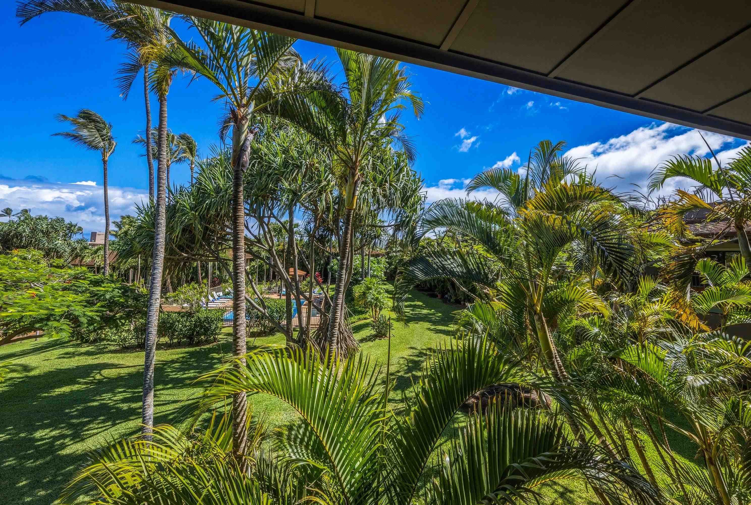 3788 Lower Honoapiilani Rd Property Photo 14