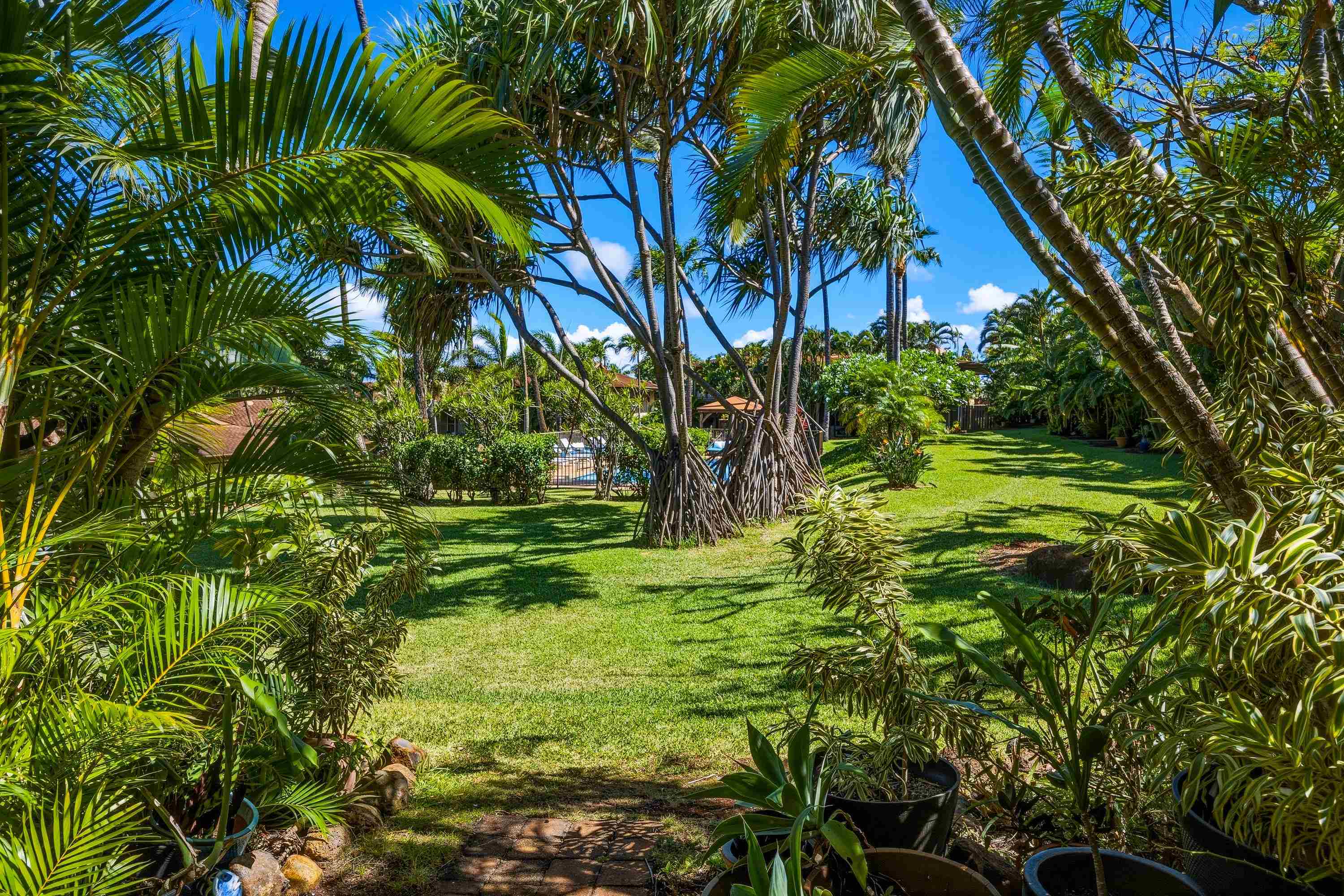 3788 Lower Honoapiilani Rd Property Photo 36