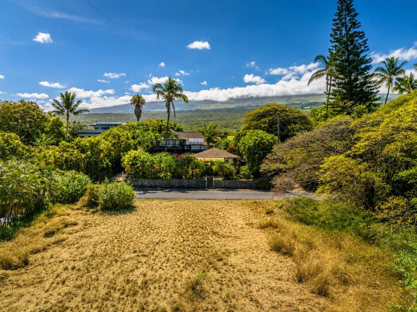 769 Kumulani Dr Property Photo 4