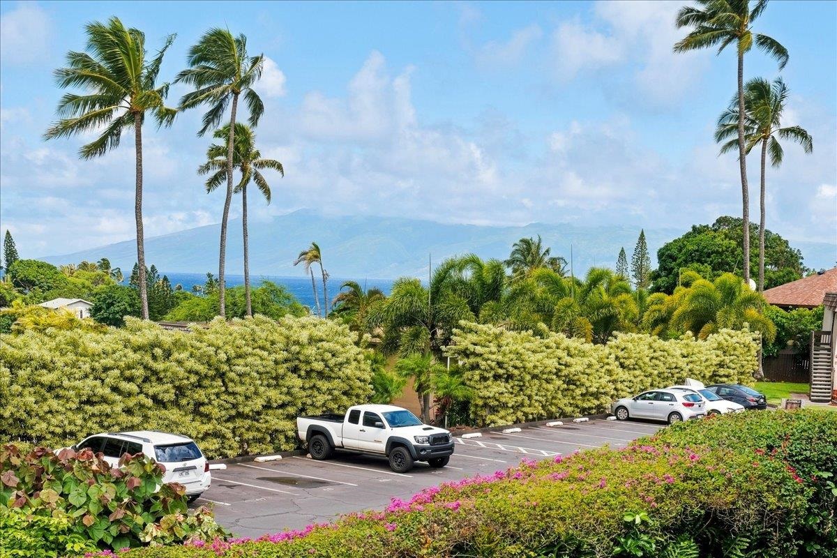 120 Hui Rd F Property Photo 25