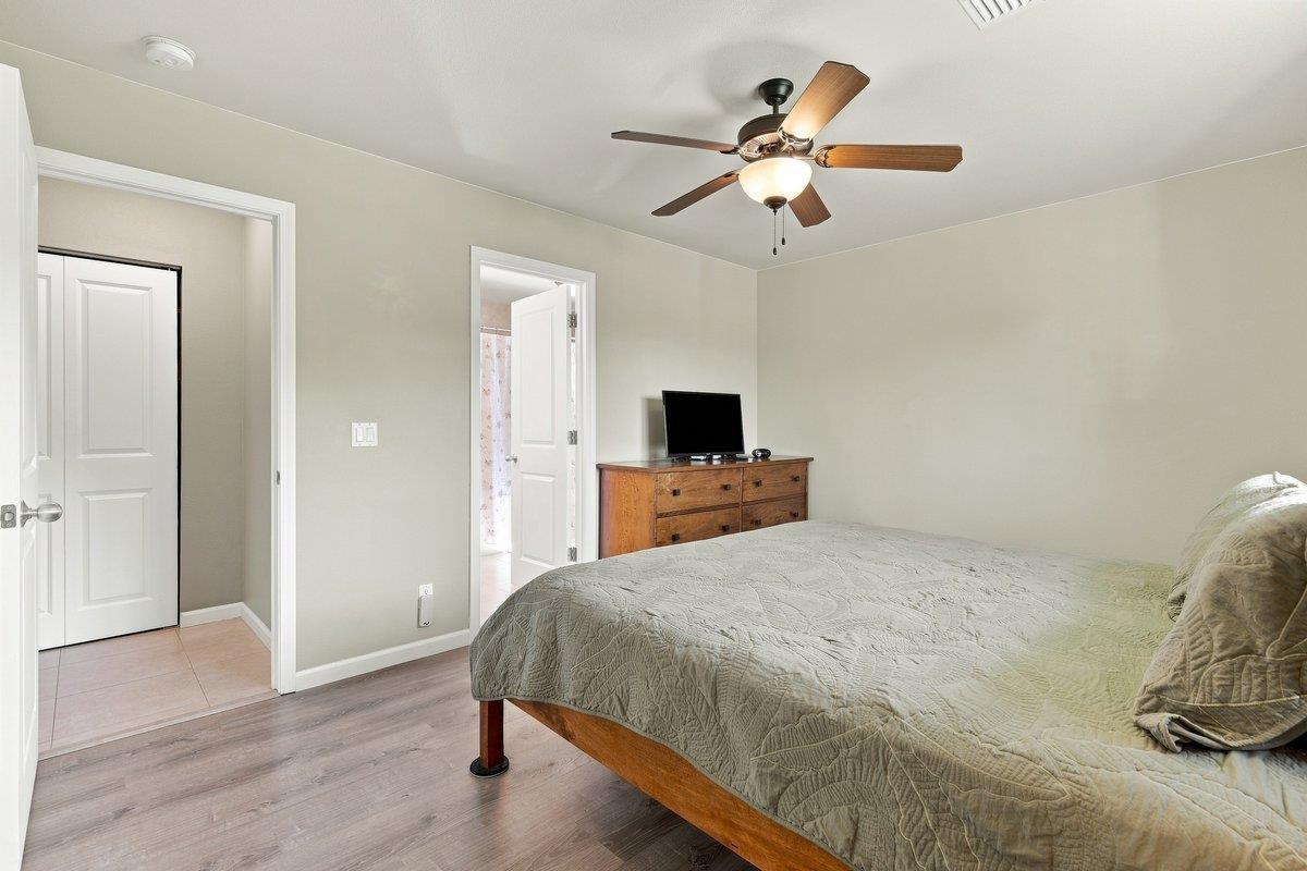 54 Waiapo St Property Photo 19