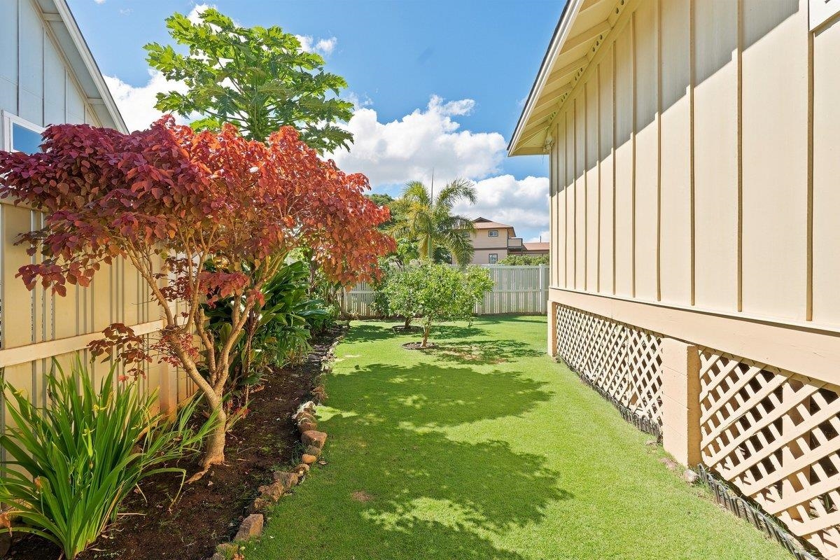 54 Waiapo St Property Photo 30