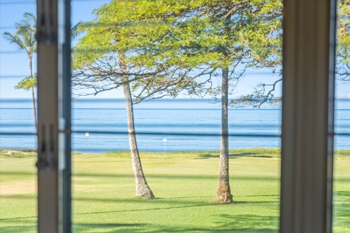 1002 S Kihei Rd Property Photo 8