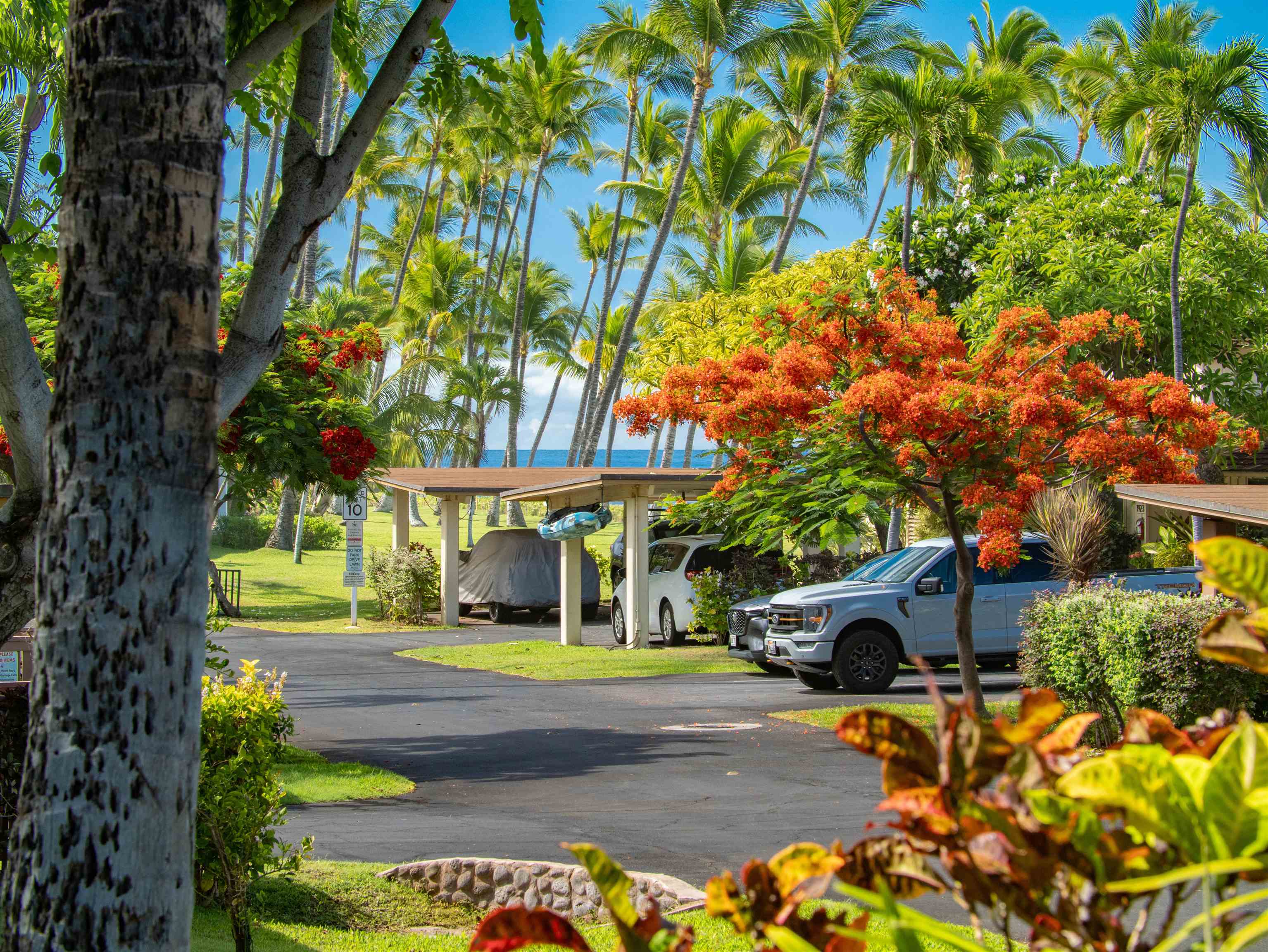 167 Pualei Dr Property Photo 22