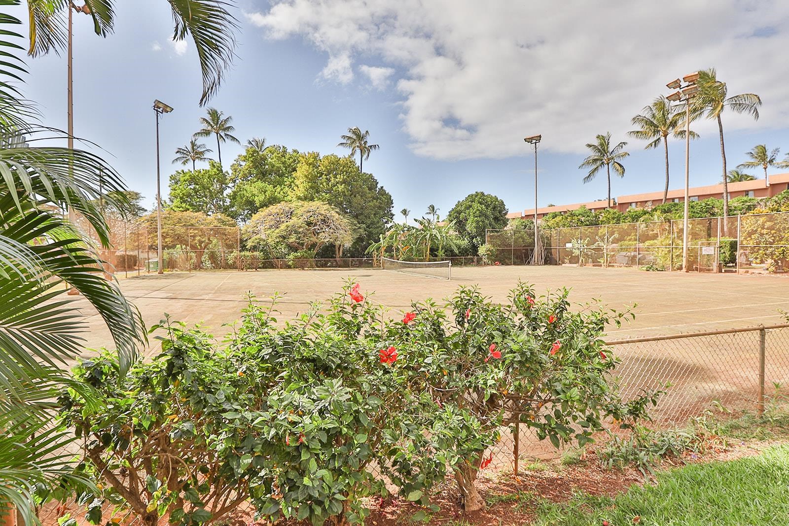 3660 Lower Honoapiilani Rd Property Photo 17
