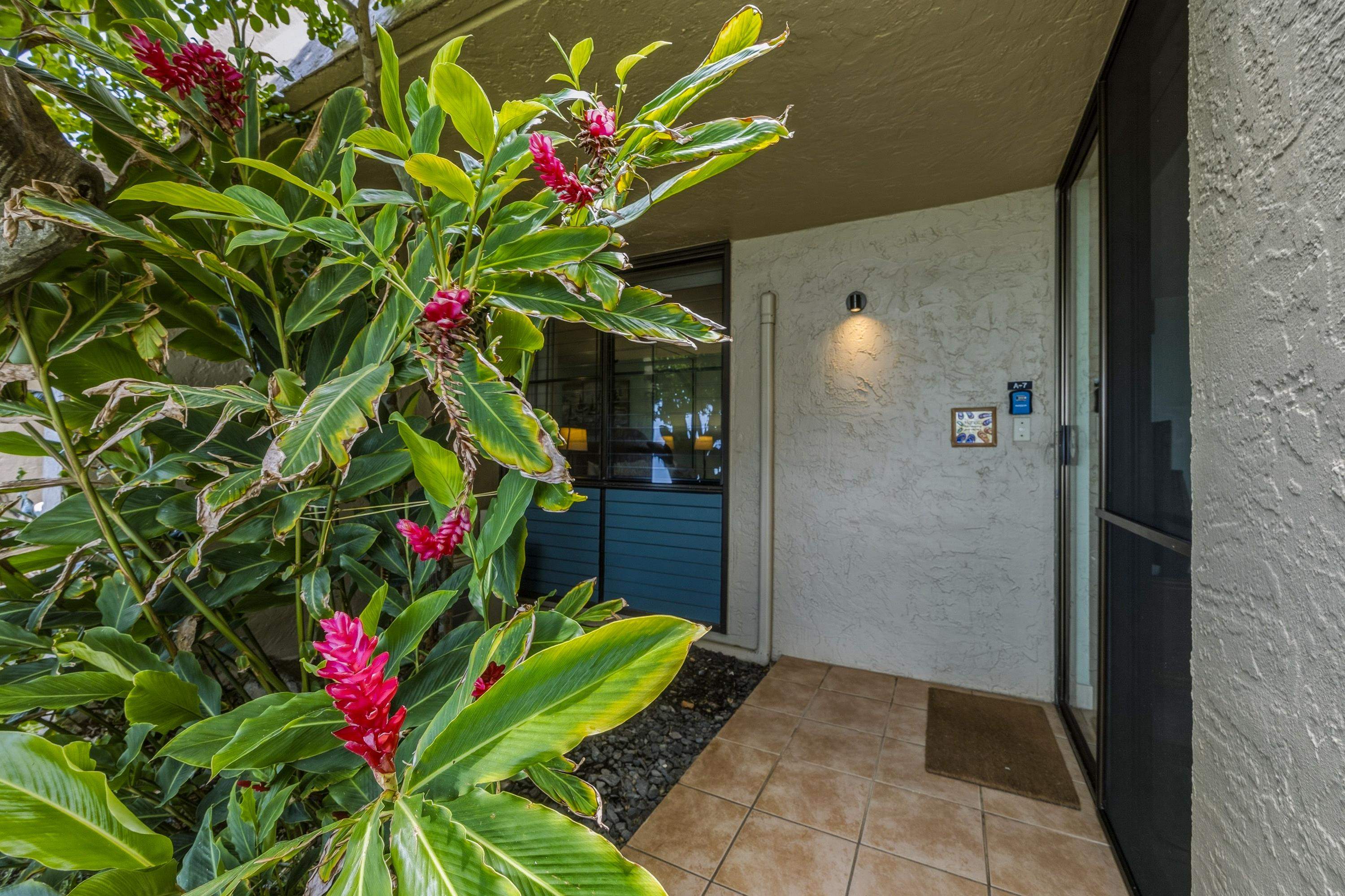5290 Lower Honoapiilani Rd Property Photo 12