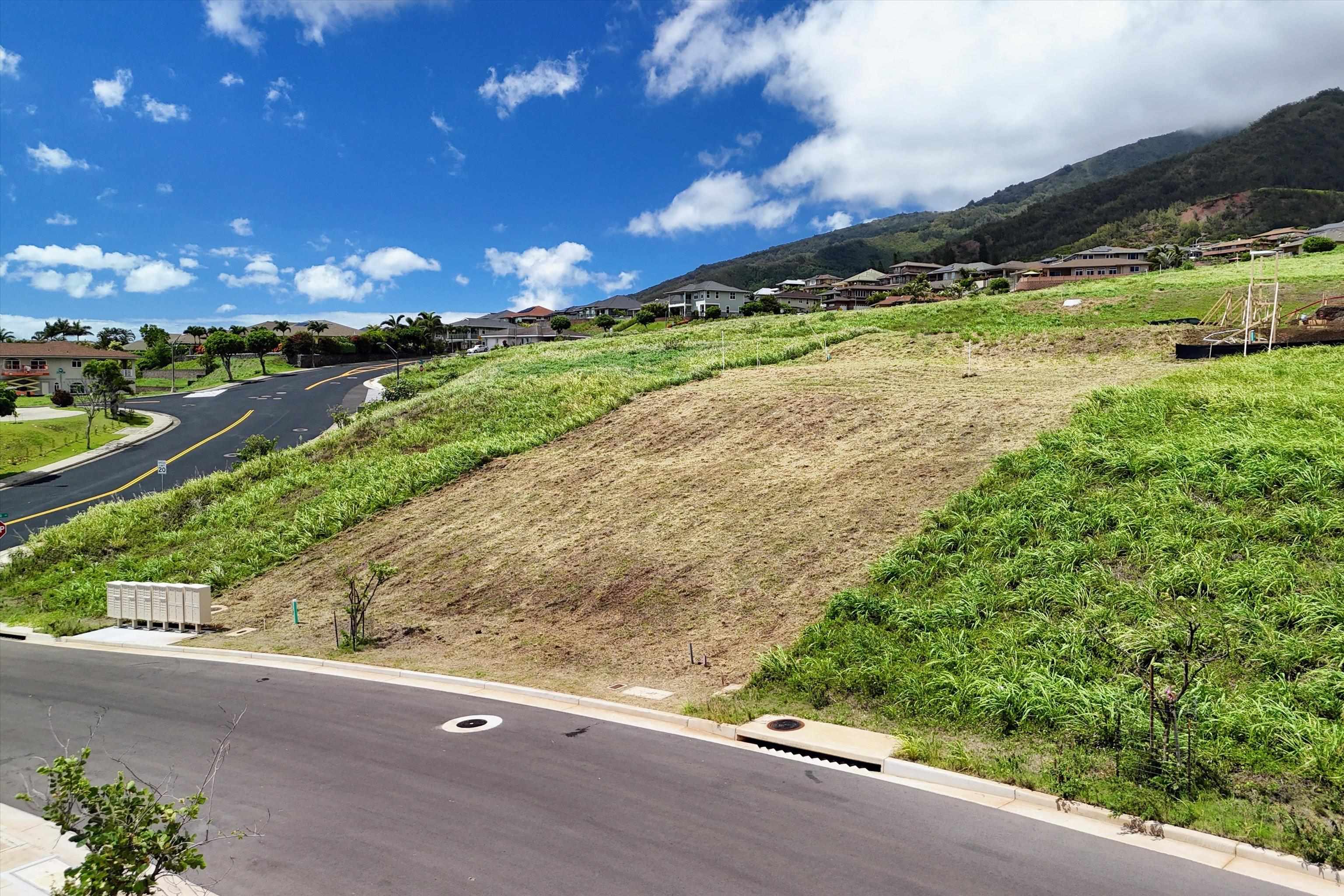 101 Hopo'i Pl Property Photo 20