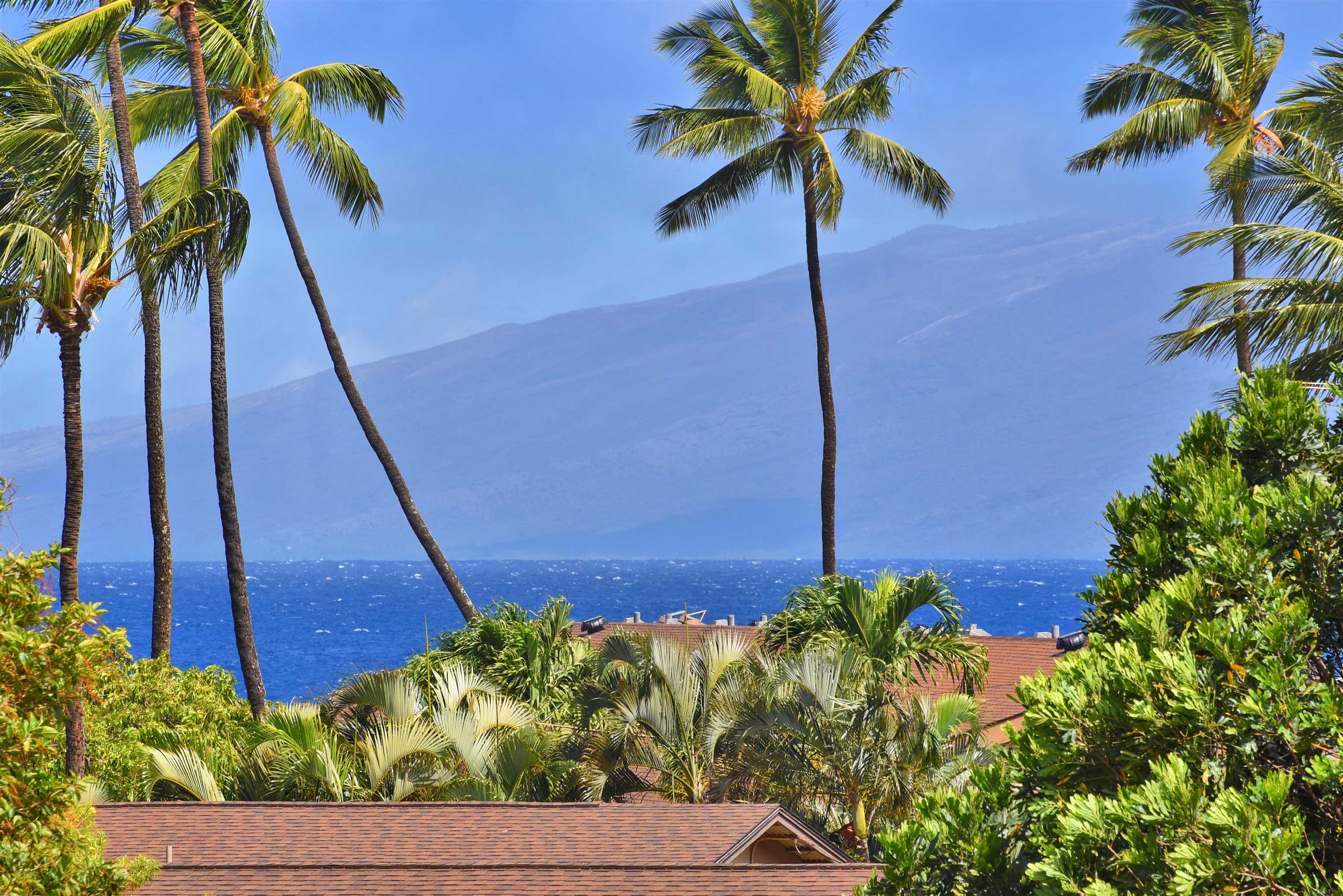 3660 Lower Honoapiilani Rd Property Photo 1