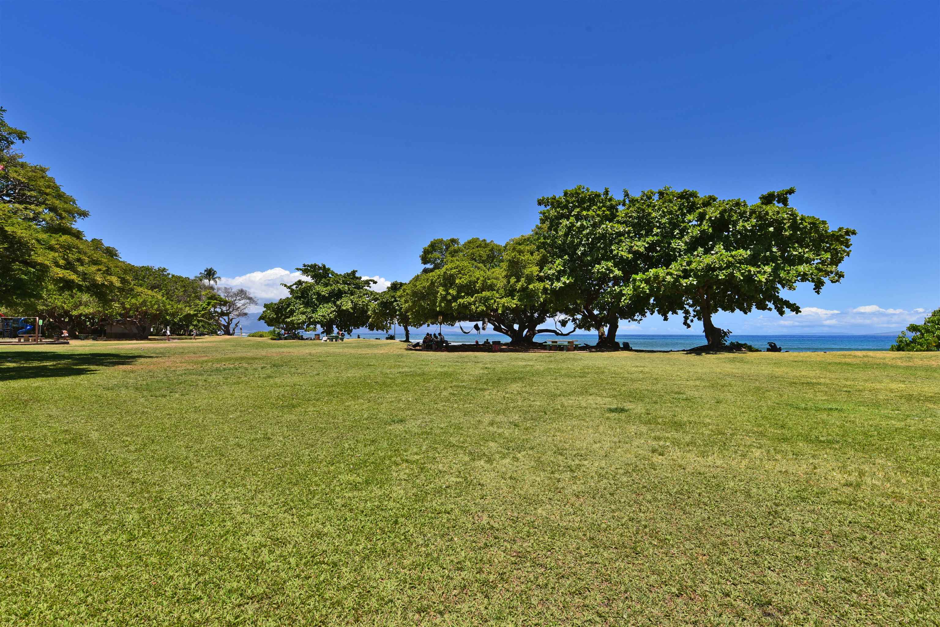 3660 Lower Honoapiilani Rd Property Photo 22