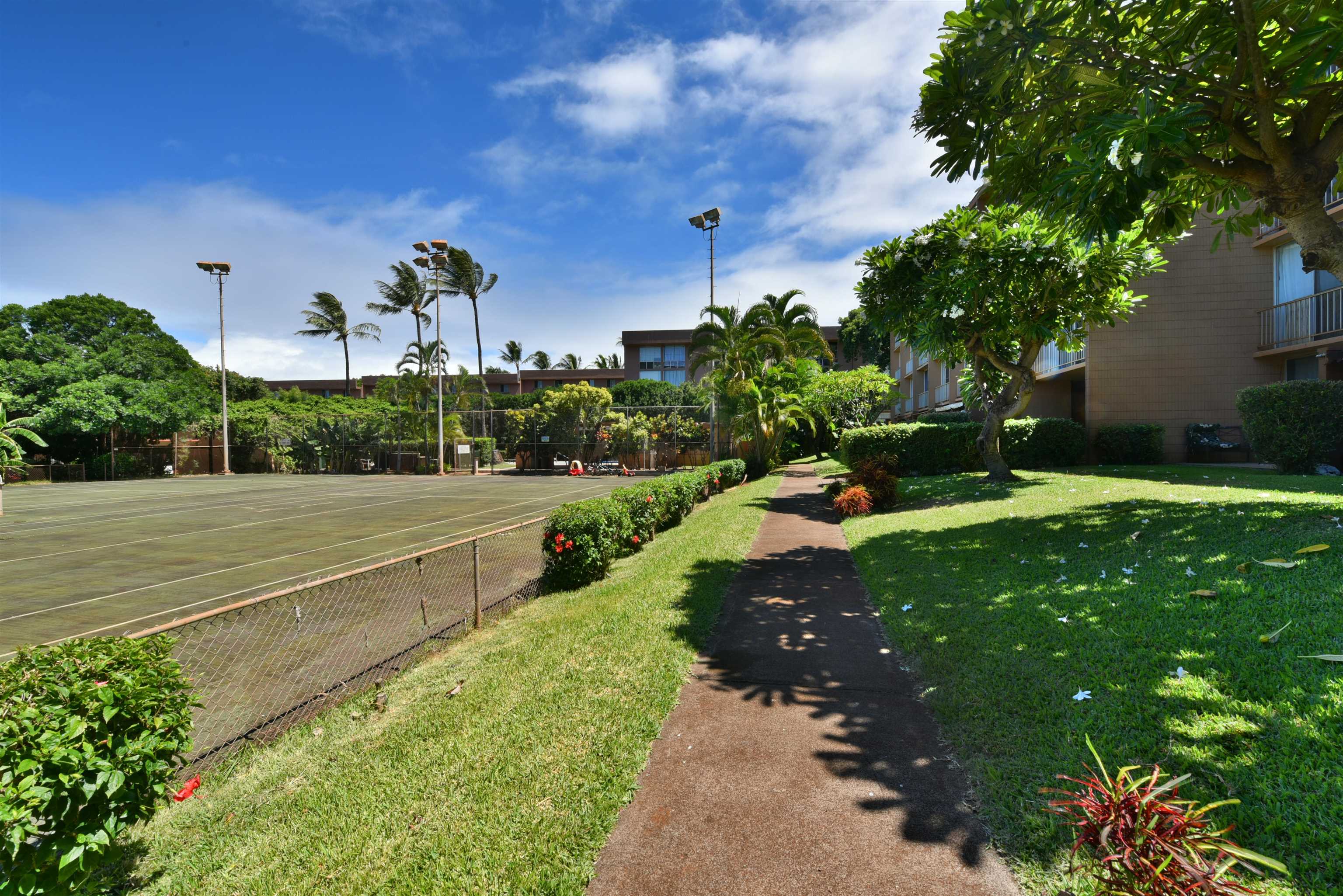 3660 Lower Honoapiilani Rd Property Photo 23