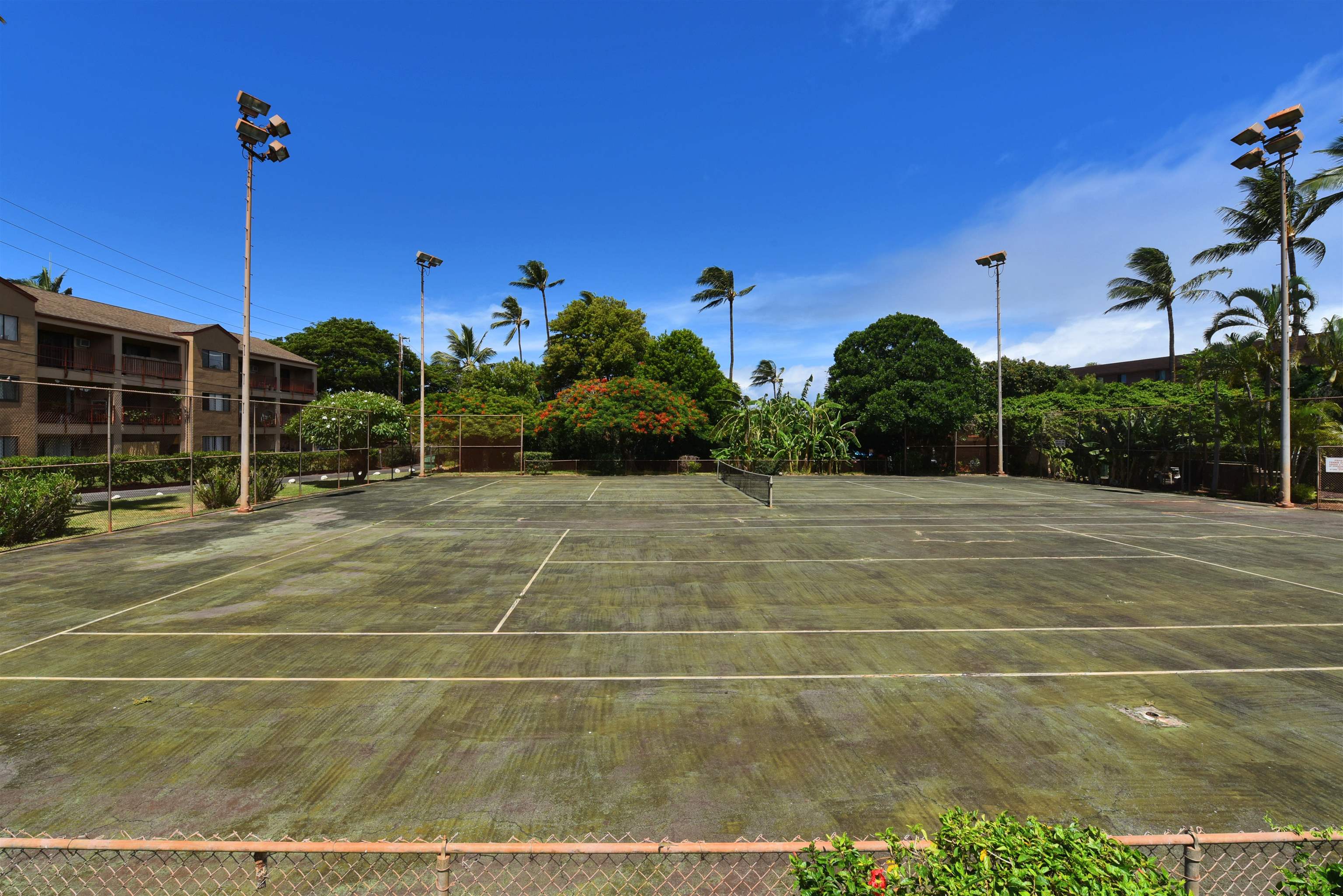 3660 Lower Honoapiilani Rd Property Photo 24