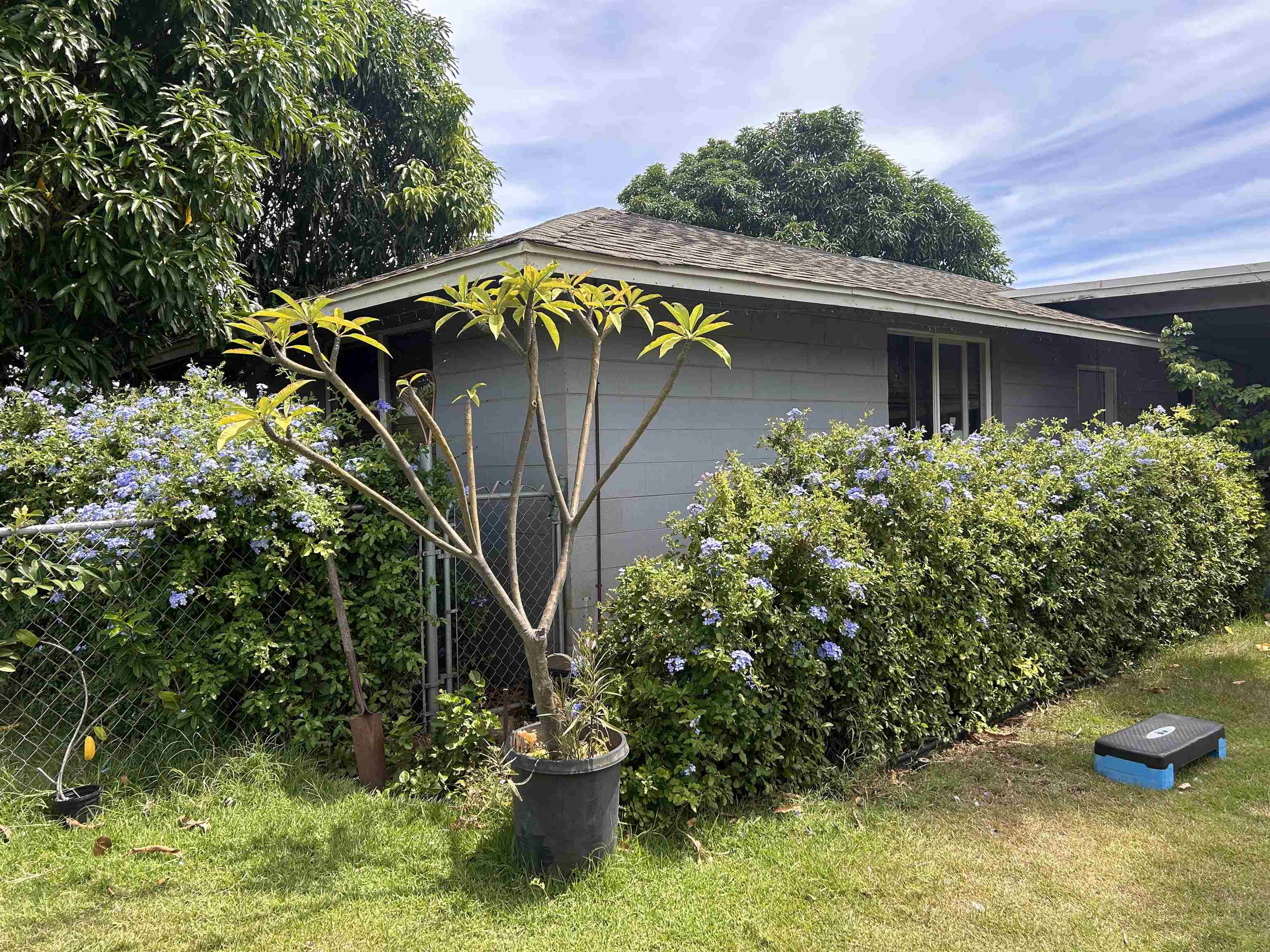 135 E Papa Ave Property Photo 7