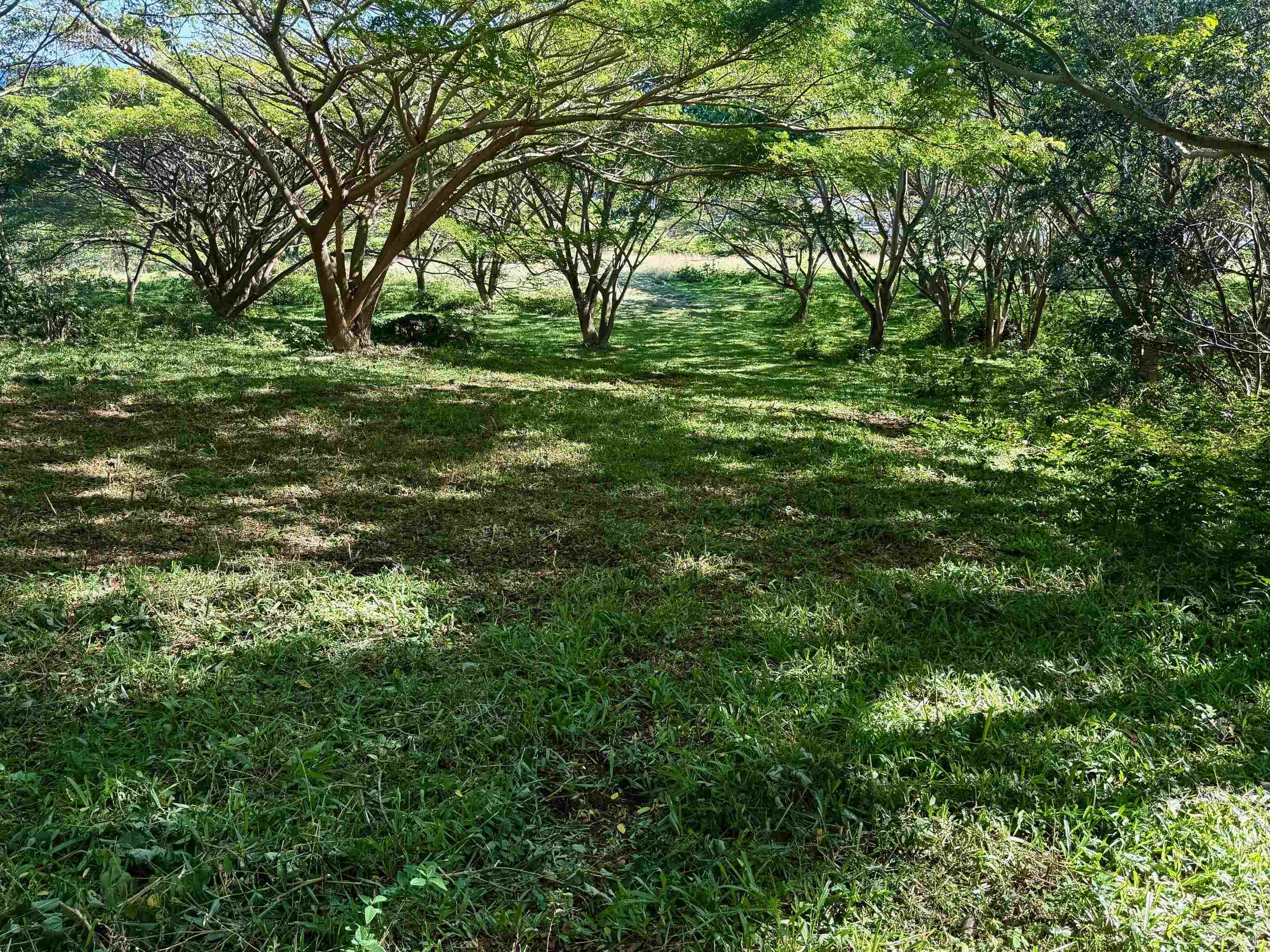 0 Hana Hwy Property Photo 6