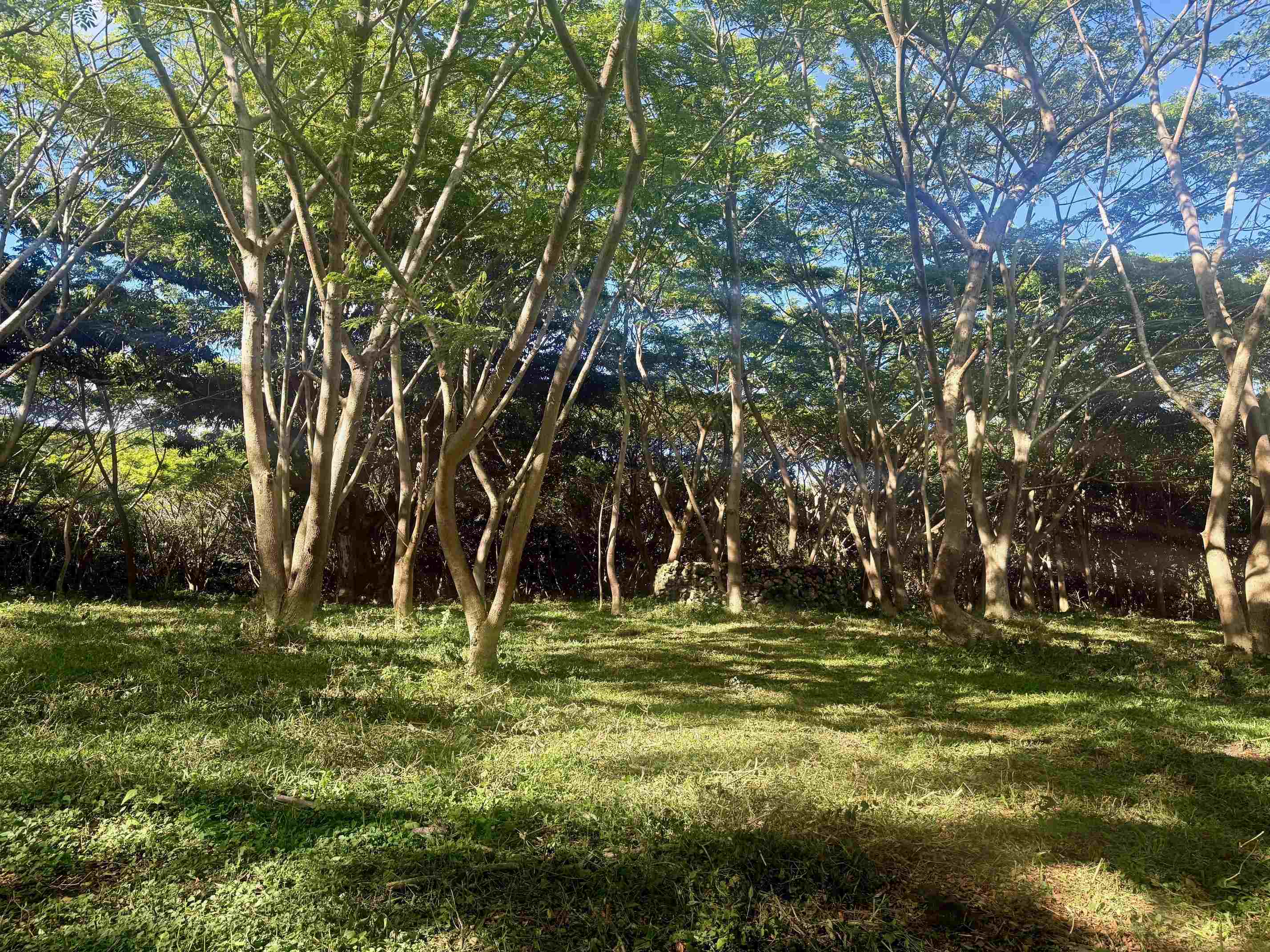 0 Hana Hwy Property Photo 8