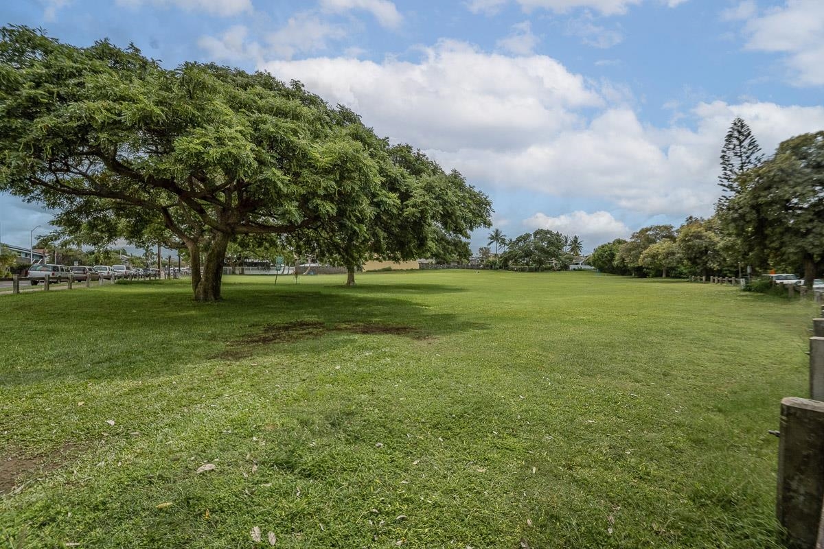 160 Keonekai Rd Property Photo 6