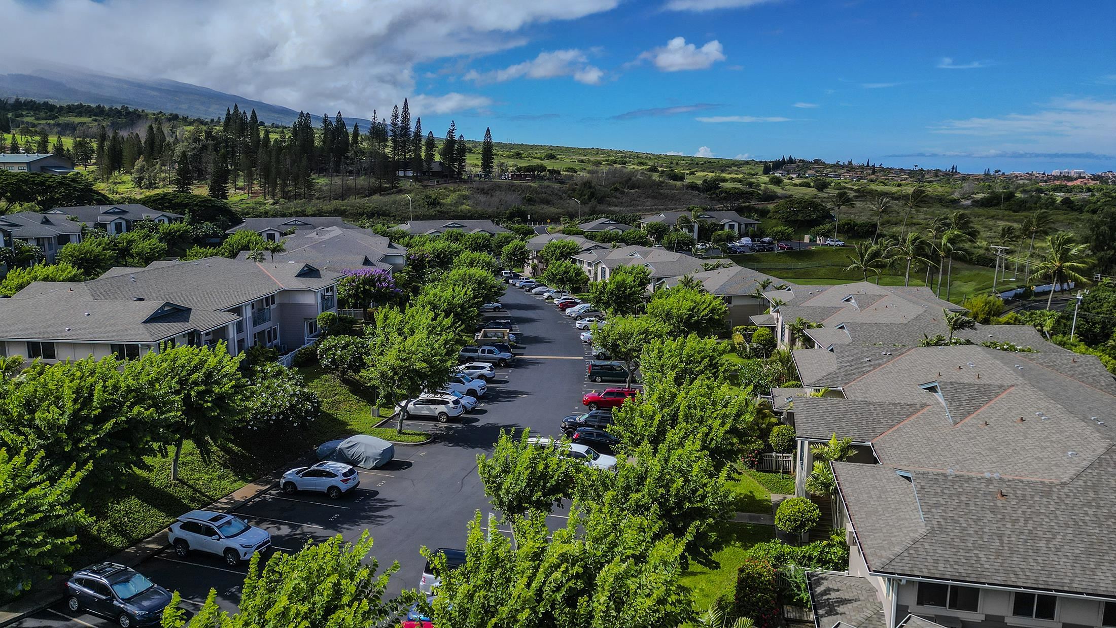 133 Punohu Ln Property Photo 33