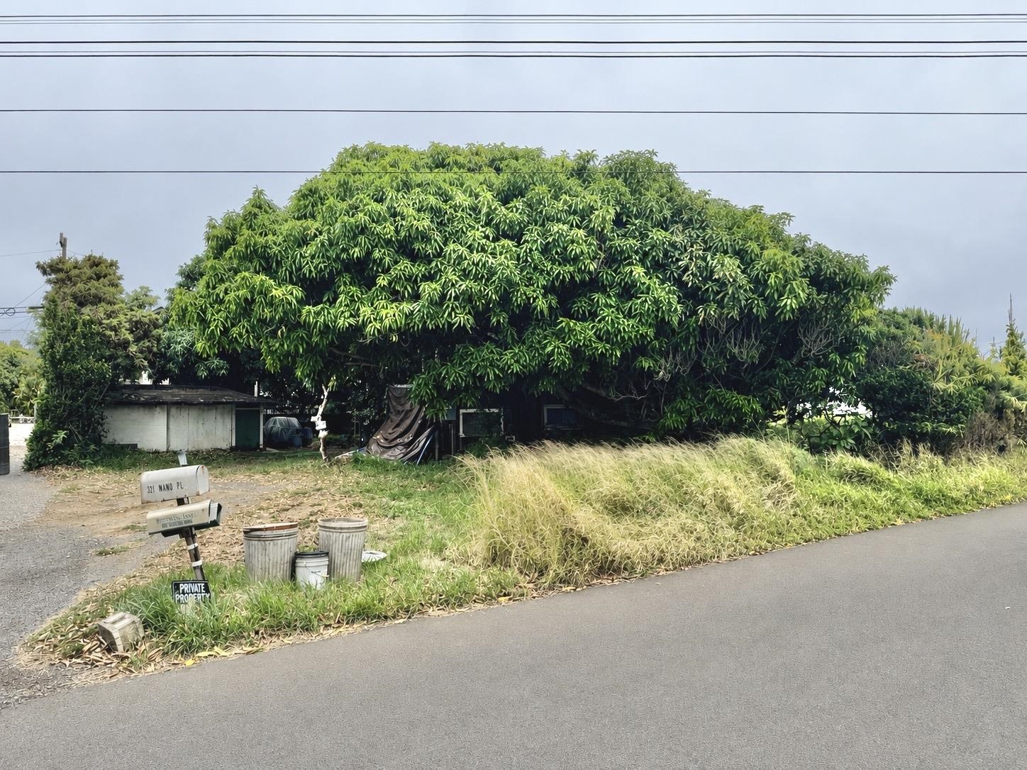 321 Mamo Pl Property Photo 3