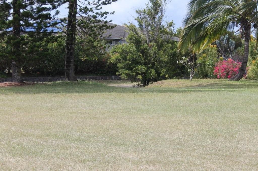 29 Mikiola St Property Photo 6