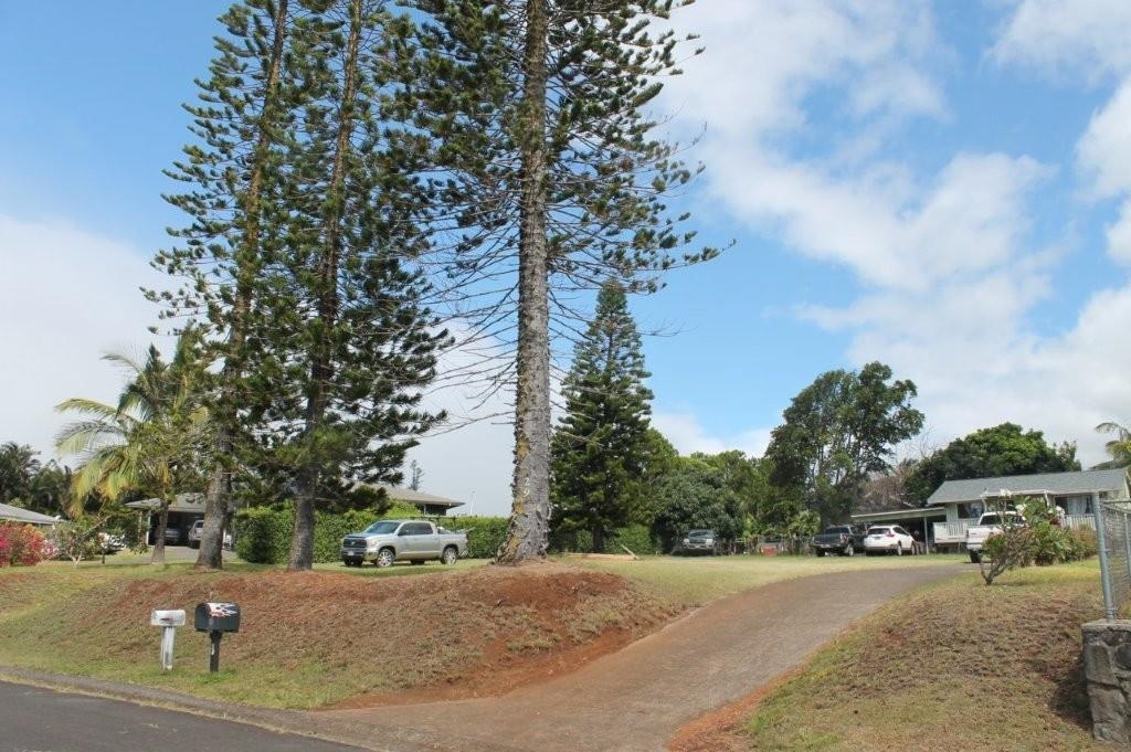 29 Mikiola St Property Photo 8