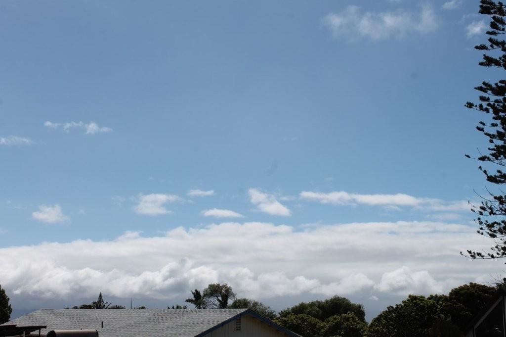 29 Mikiola St Property Photo 11