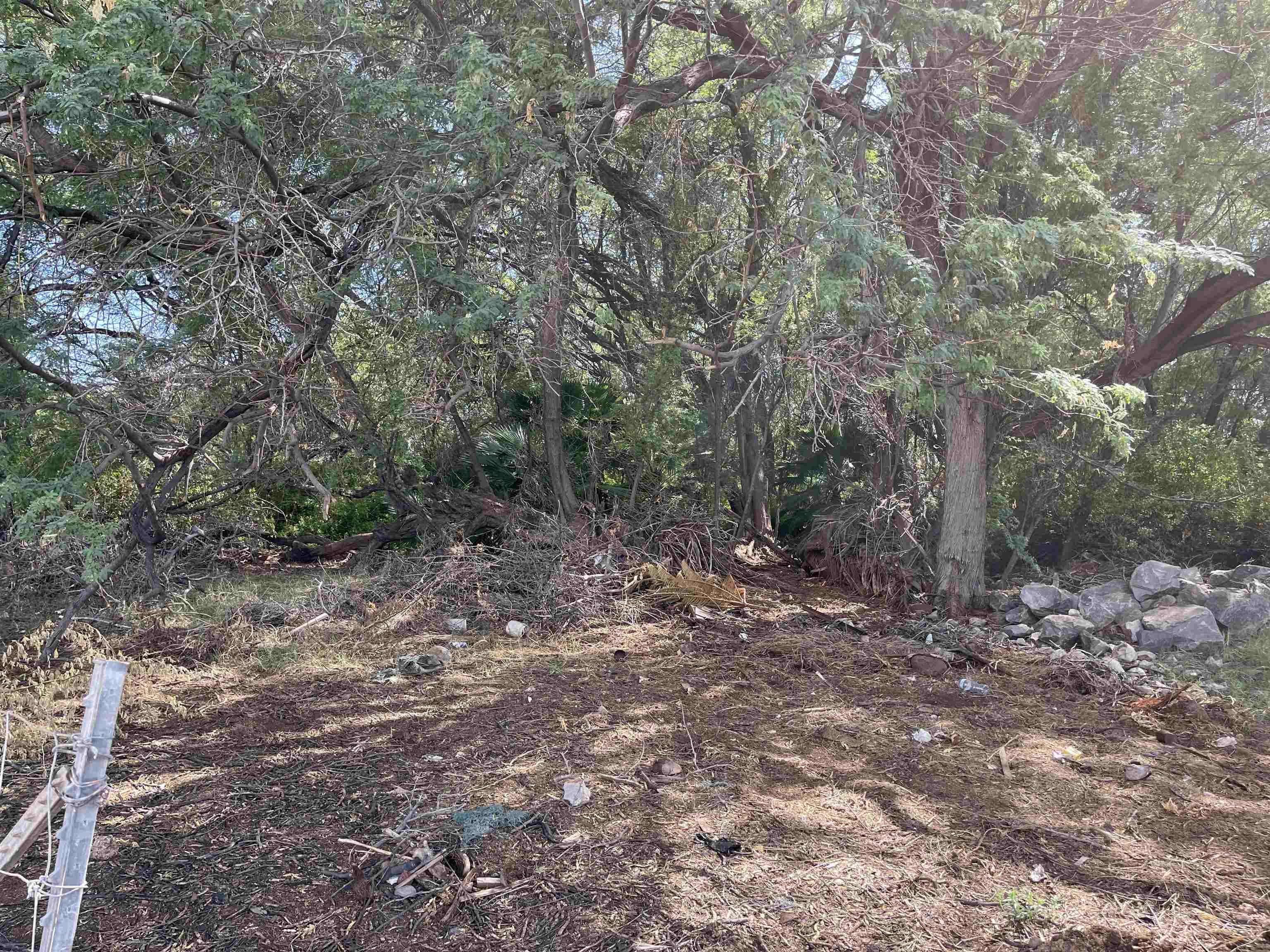 320 Seaside Pl Property Photo 17