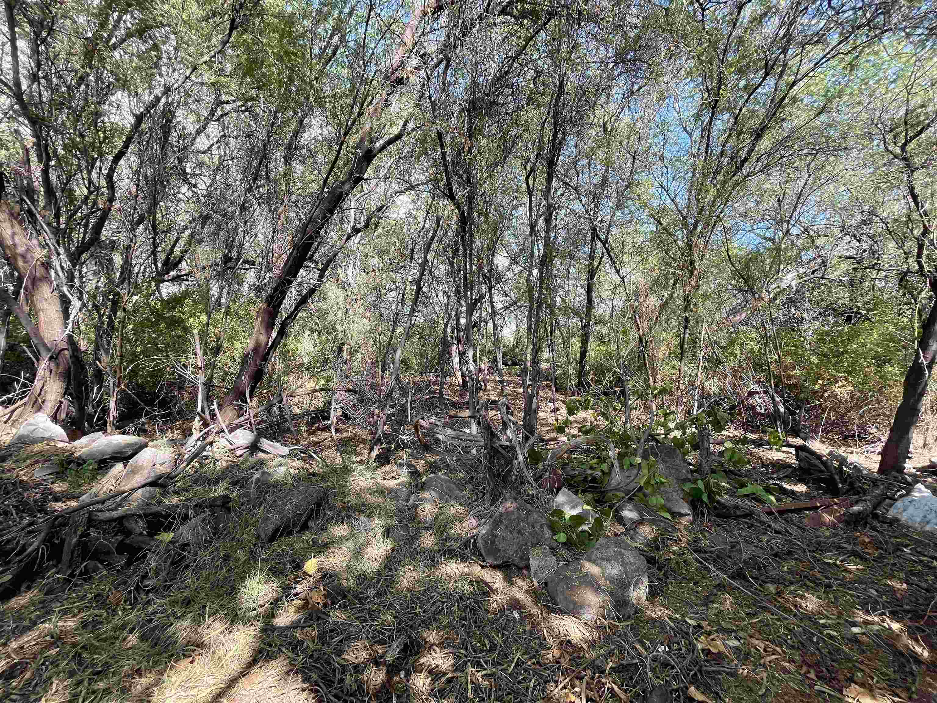 320 Seaside Pl Property Photo 21