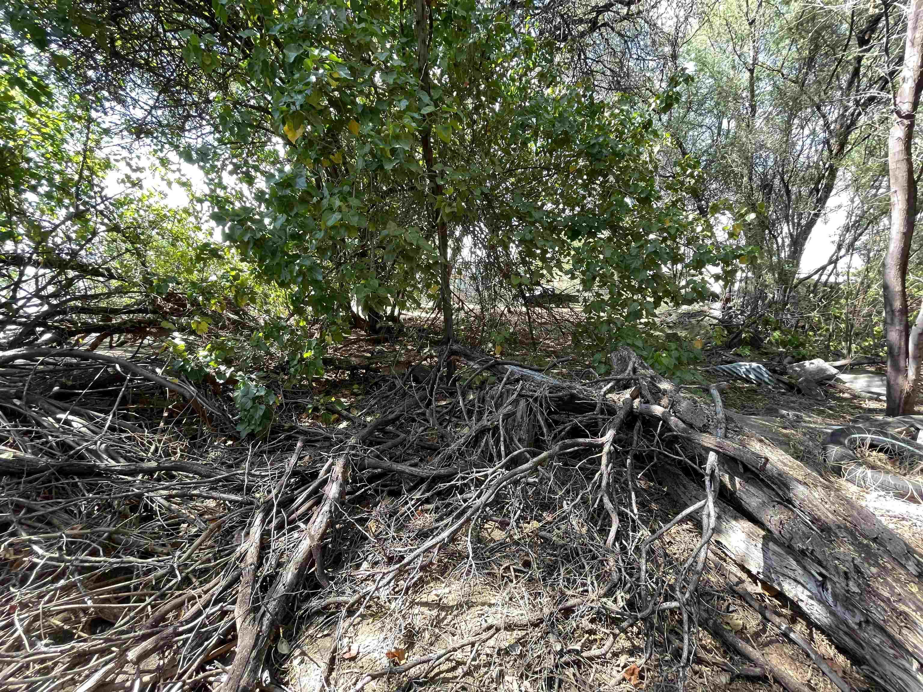 320 Seaside Pl Property Photo 22