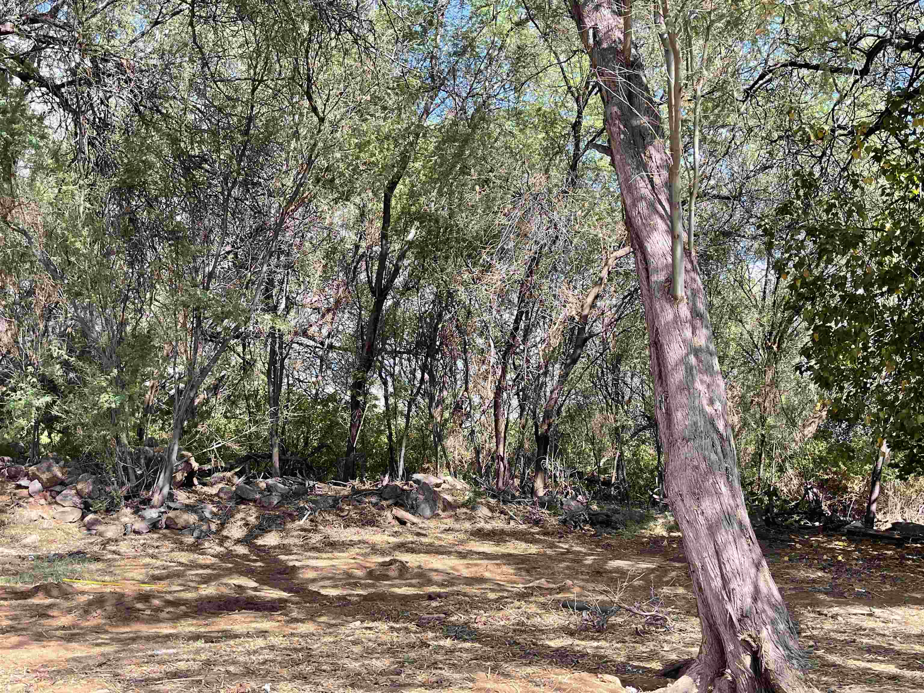 320 Seaside Pl Property Photo 23