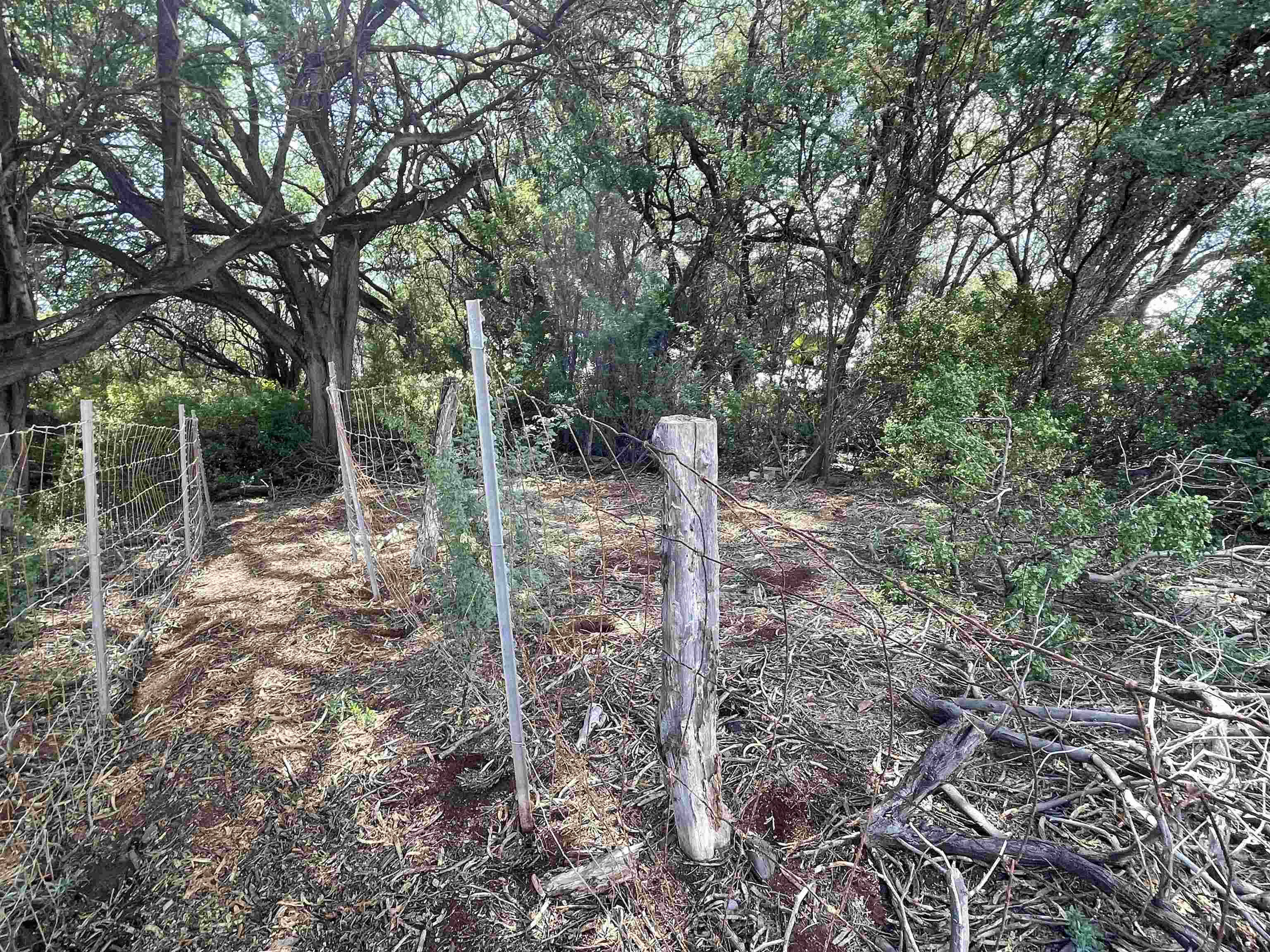 320 Seaside Pl Property Photo 28