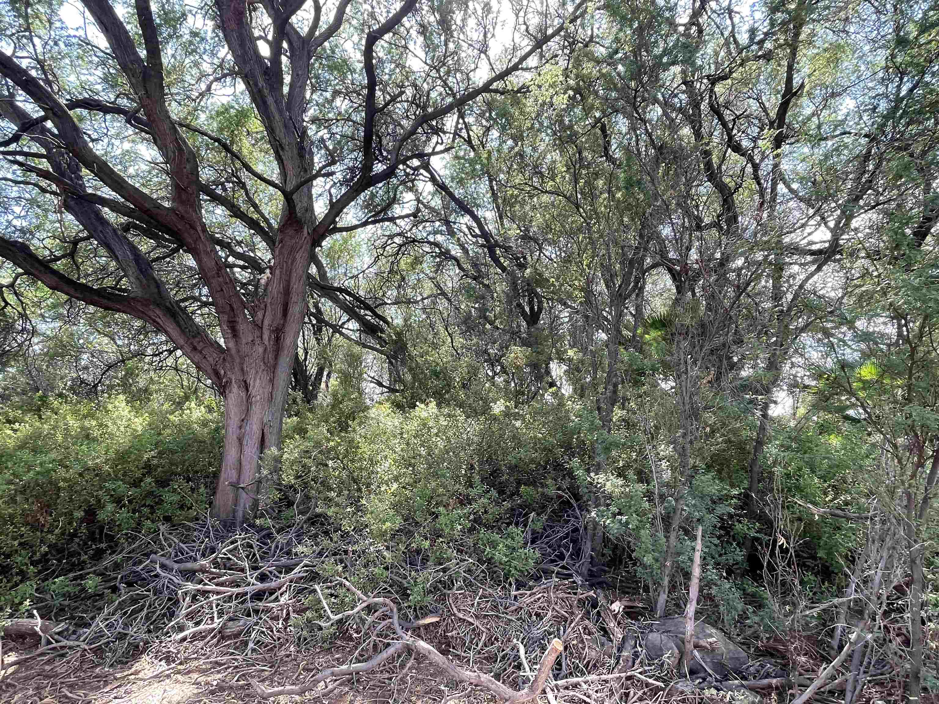320 Seaside Pl Property Photo 29