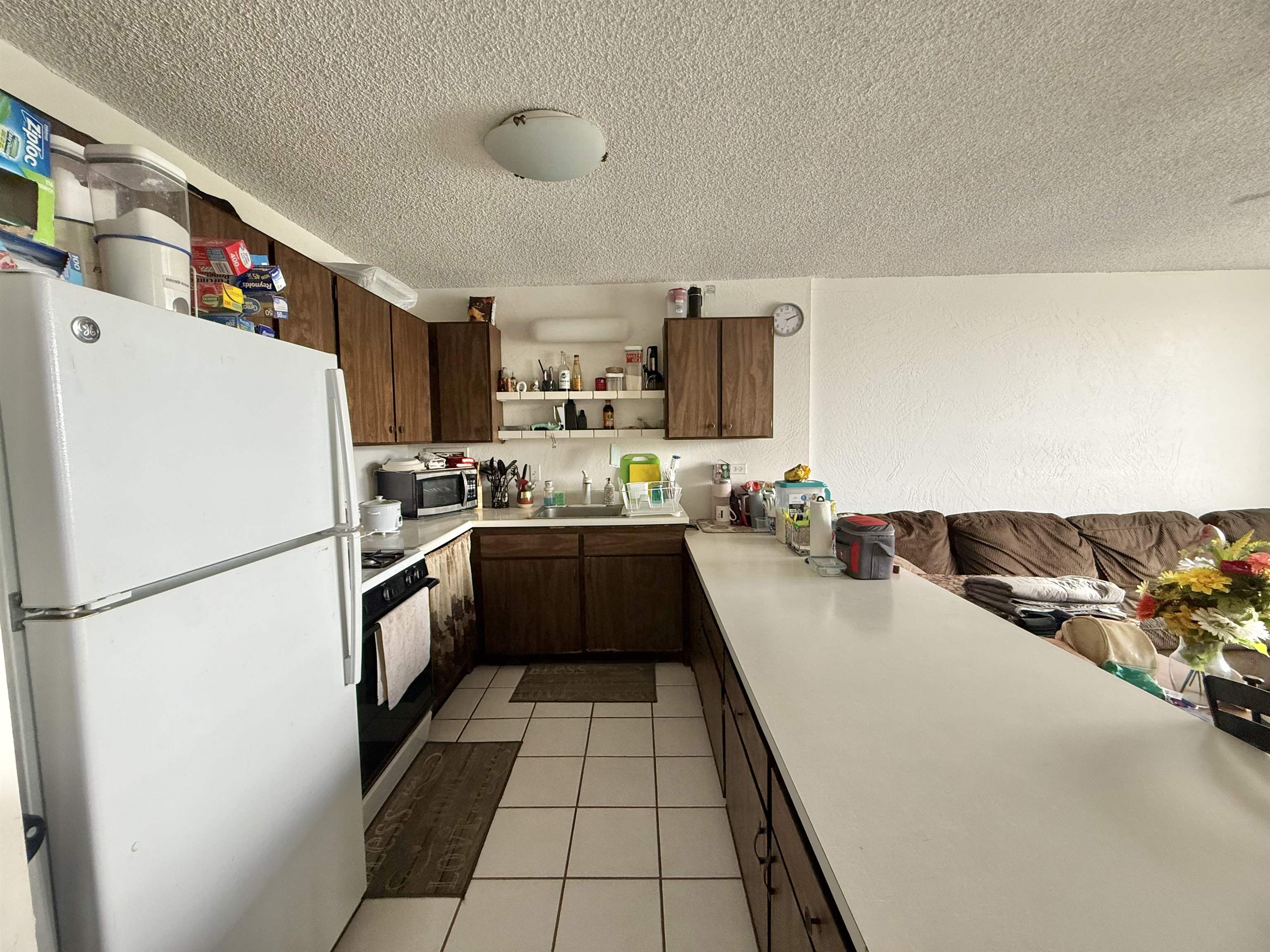 493 Pio Dr Property Photo 5