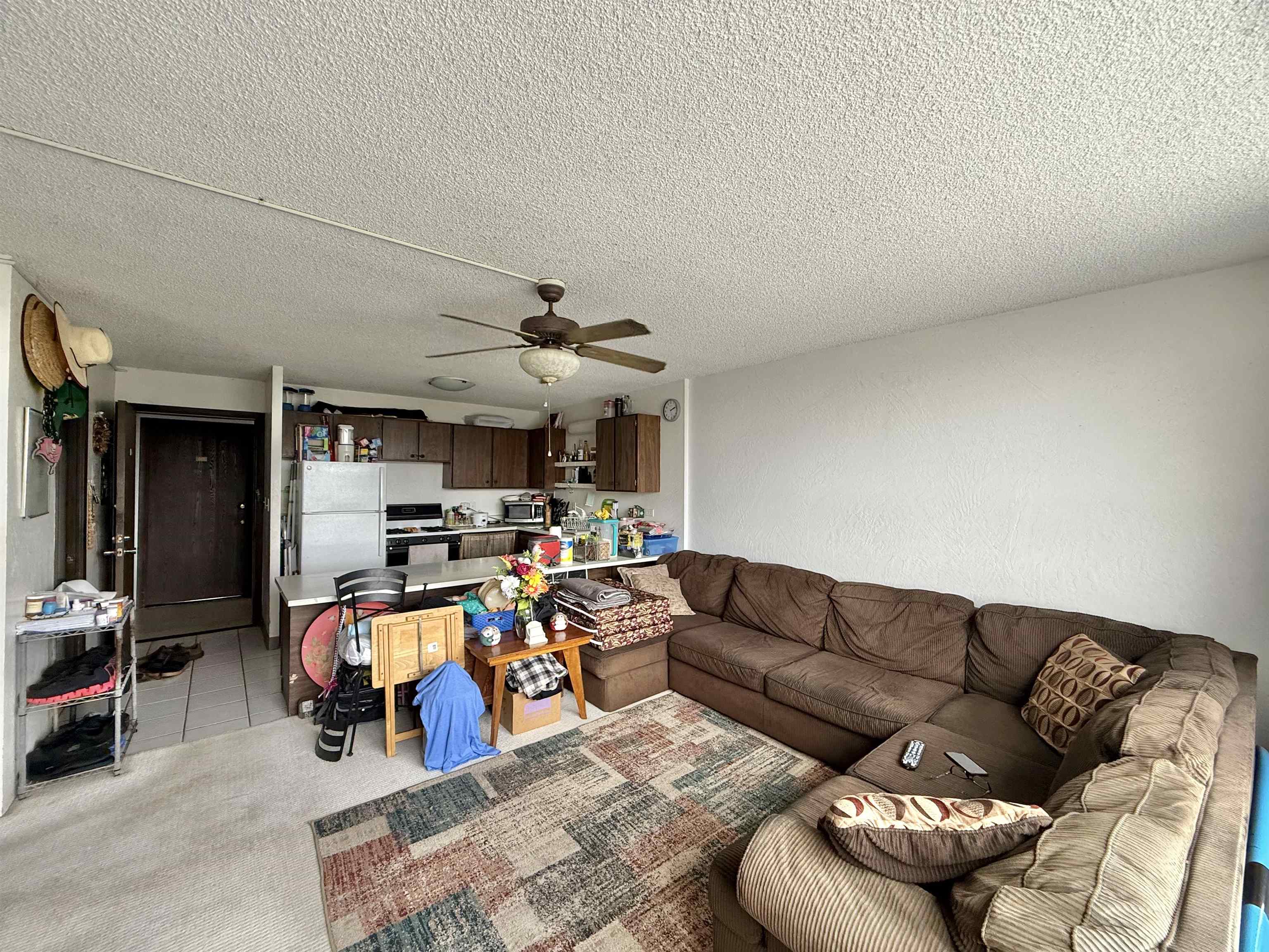 493 Pio Dr Property Photo 8