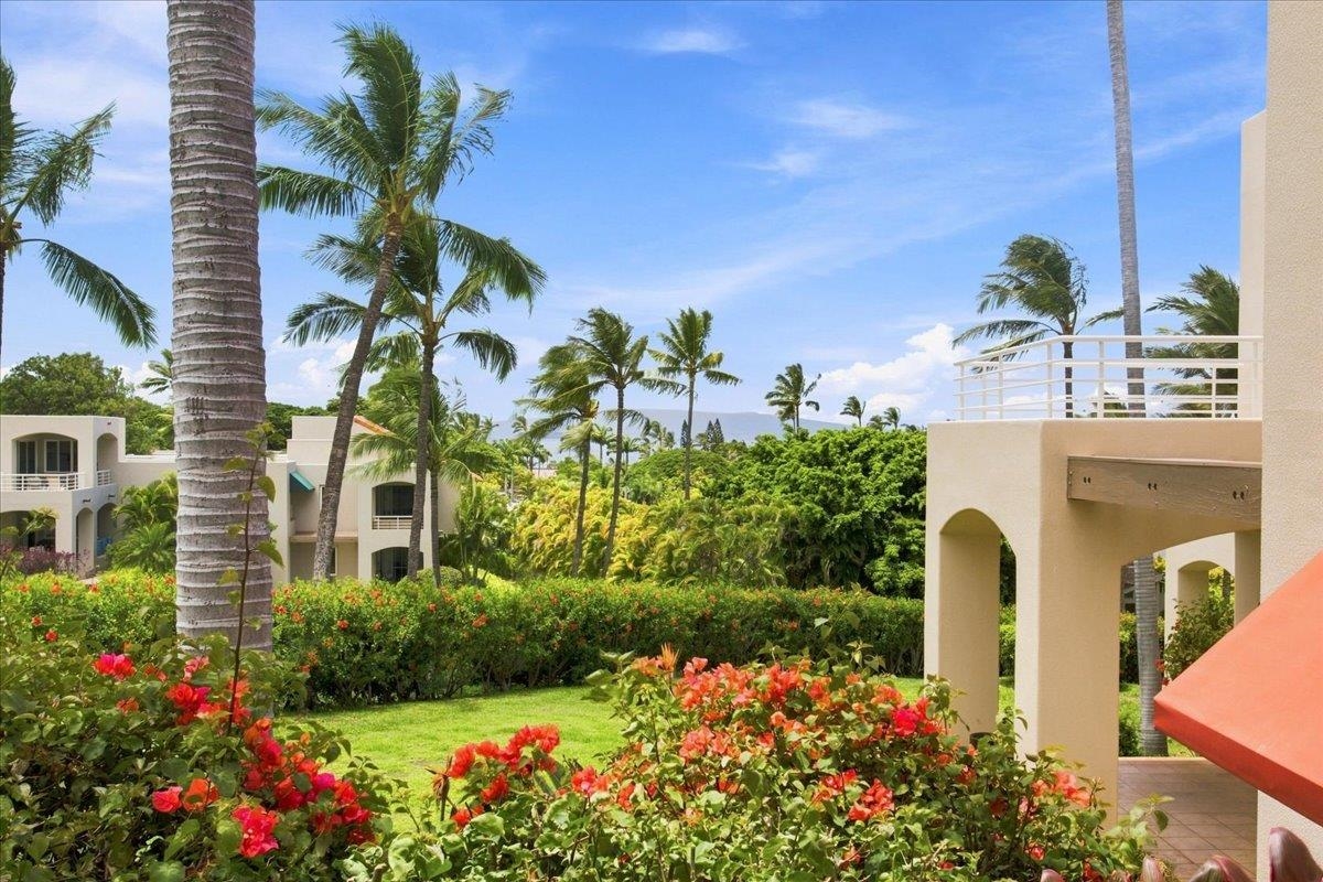 3150 Wailea Alanui Dr Property Photo 35