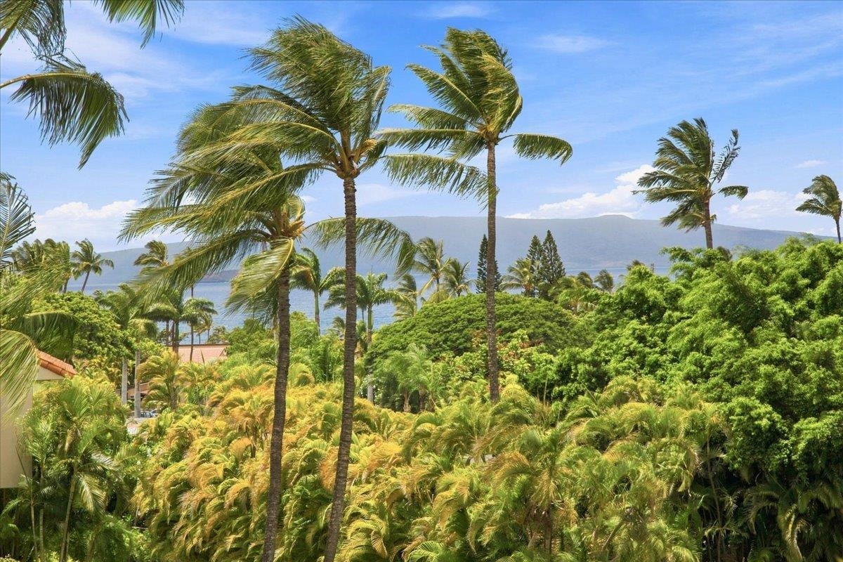 3150 Wailea Alanui Dr Property Photo 36