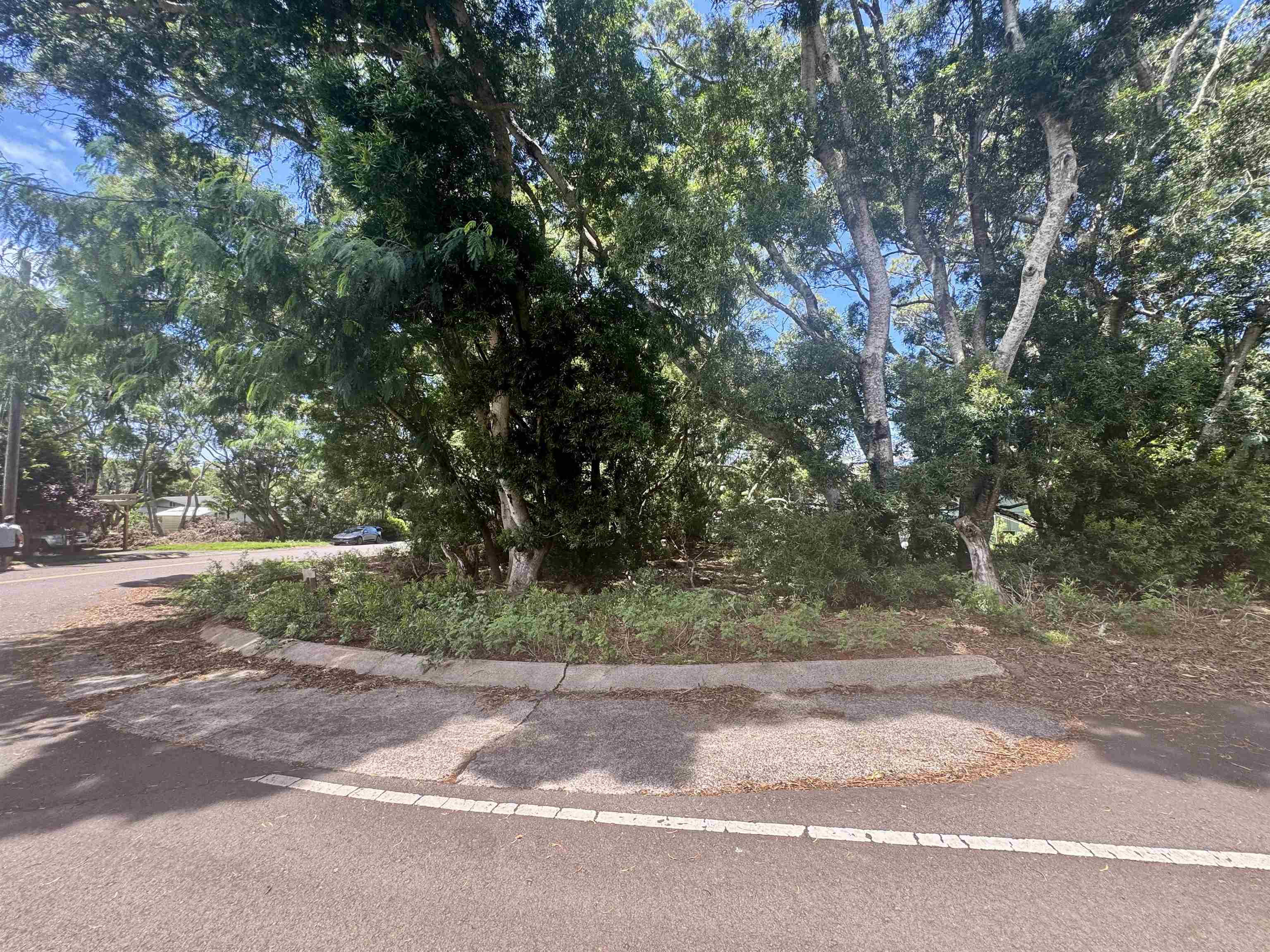 2084 Akeu Way Property Photo 1