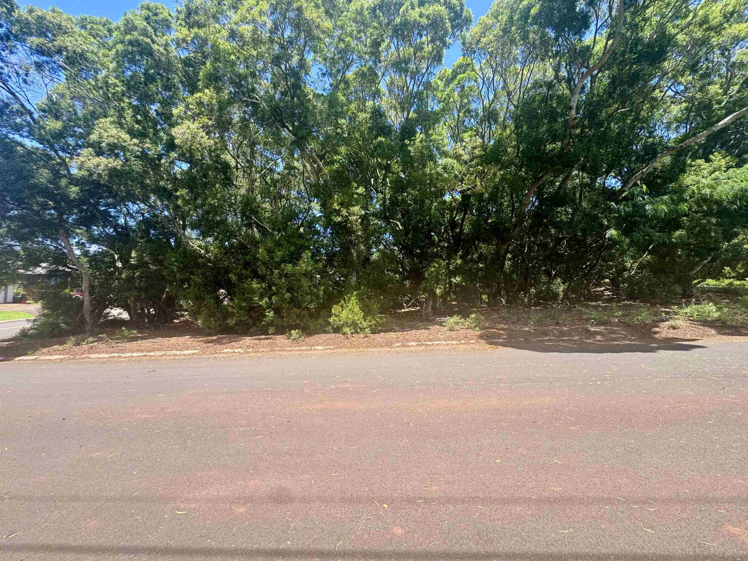 2084 Akeu Way Property Photo 3