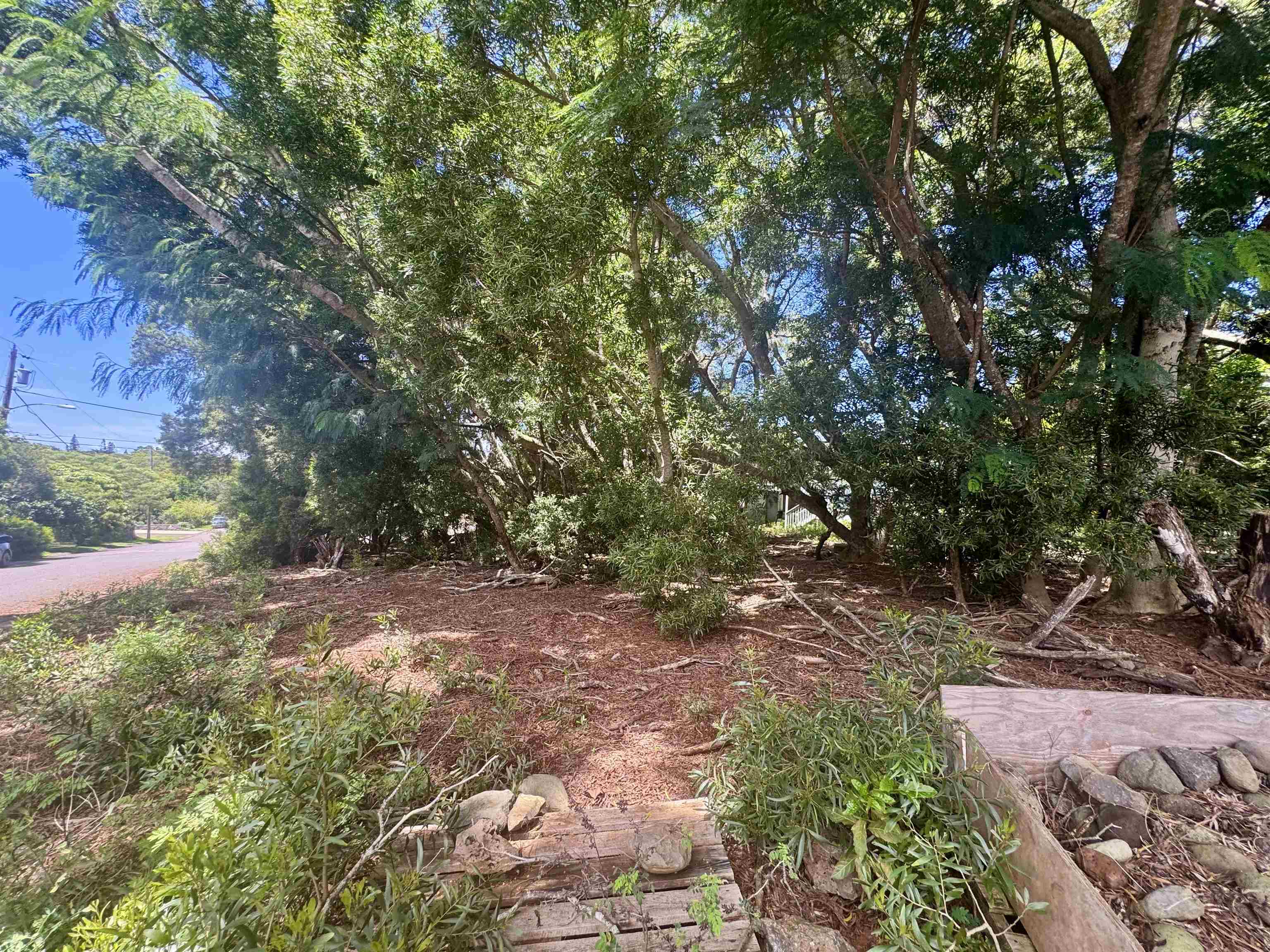 2084 Akeu Way Property Photo 4