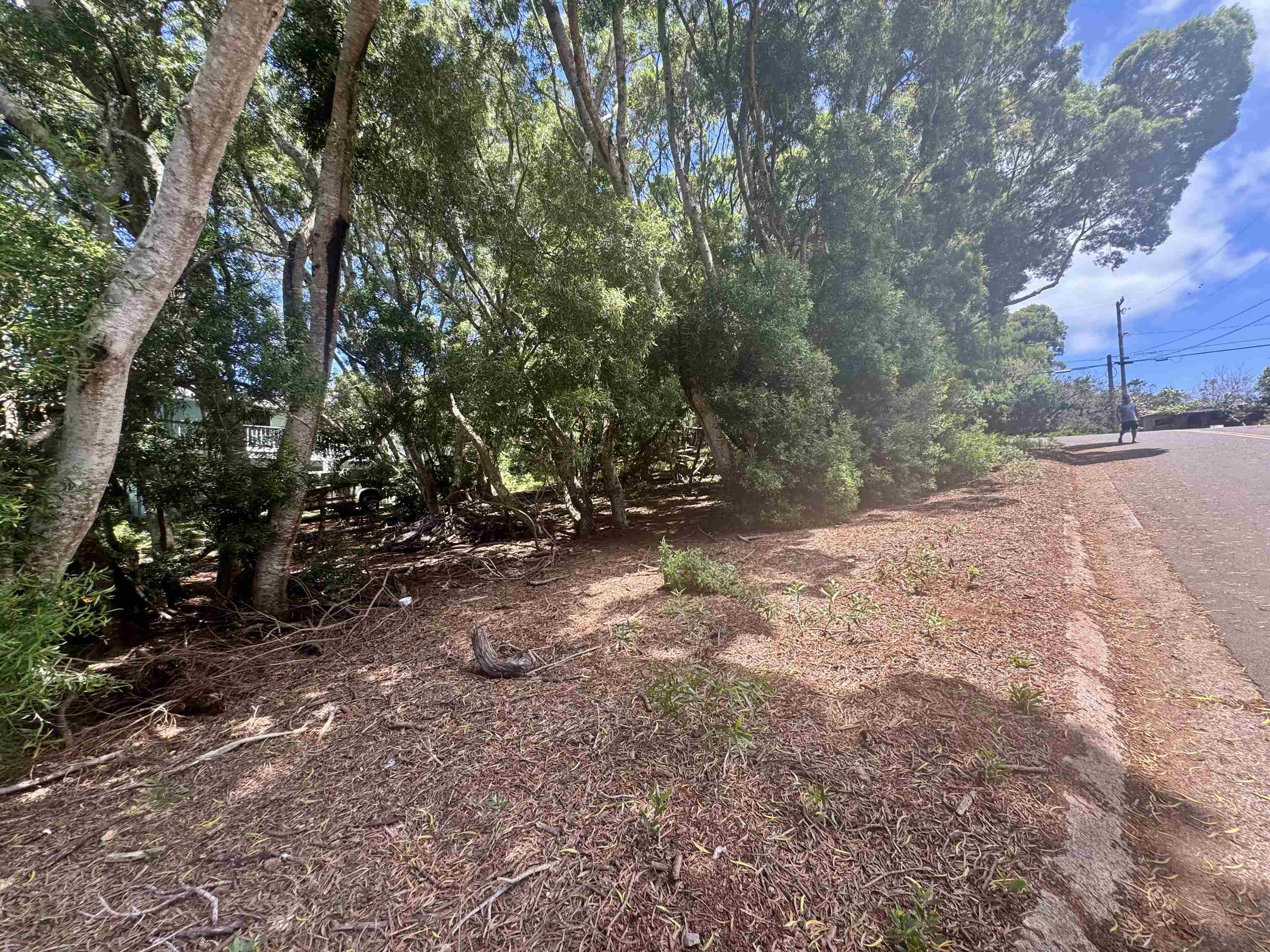 2084 Akeu Way Property Photo 5