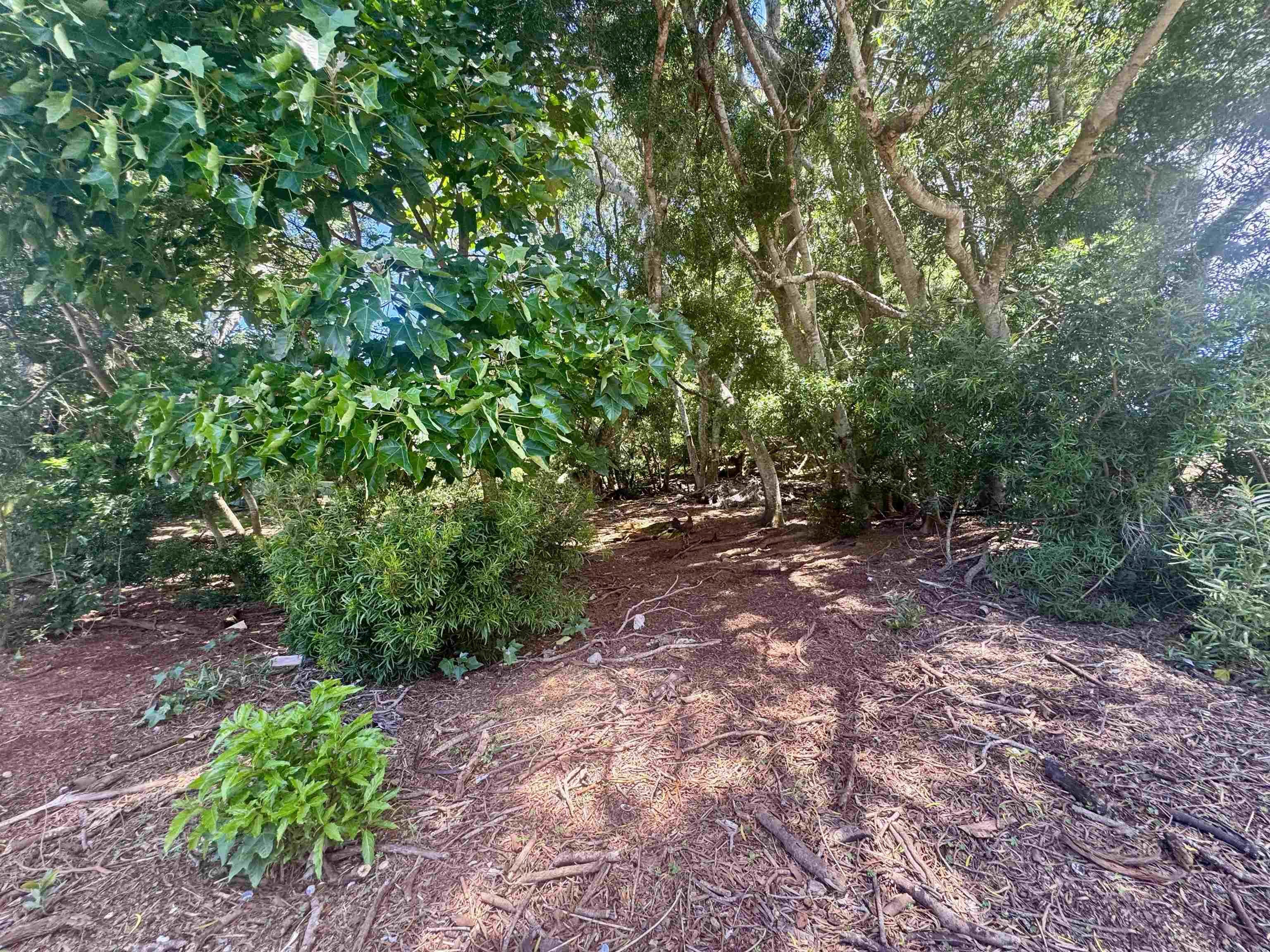 2084 Akeu Way Property Photo 6