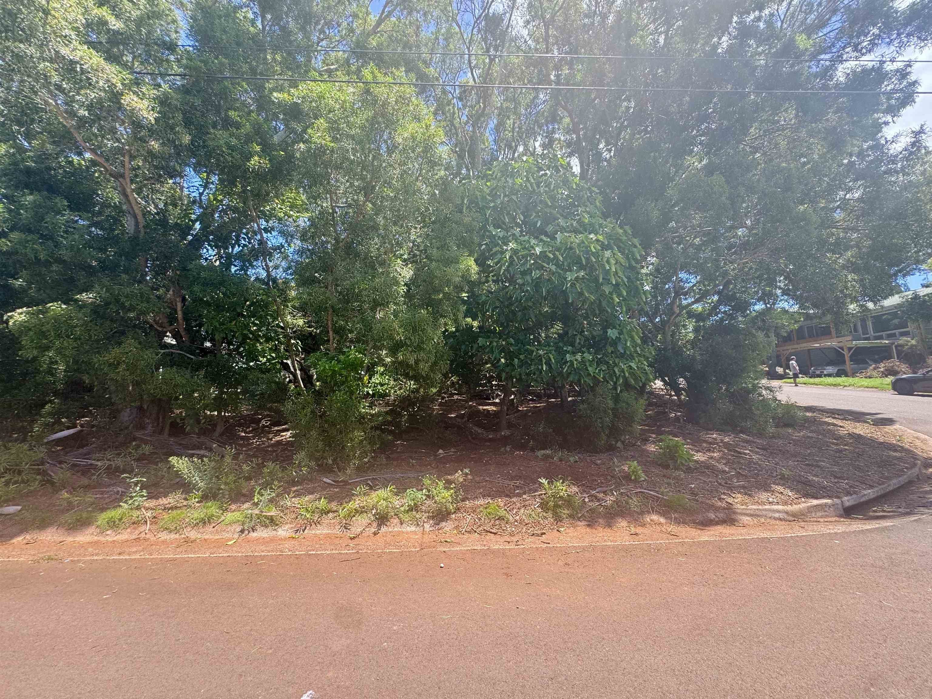2084 Akeu Way Property Photo 7